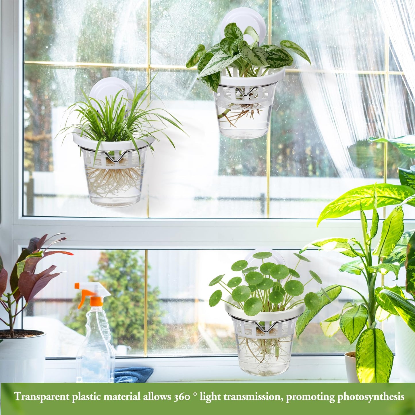 Teecyhooo 4 Set Window Propagation Stations Plastic Wall Hanging Planter with Suction Cups Clear Self Watering Window Mounted Plant Pots for Indoor Plants Bathroom Living Room Office Decor Gift