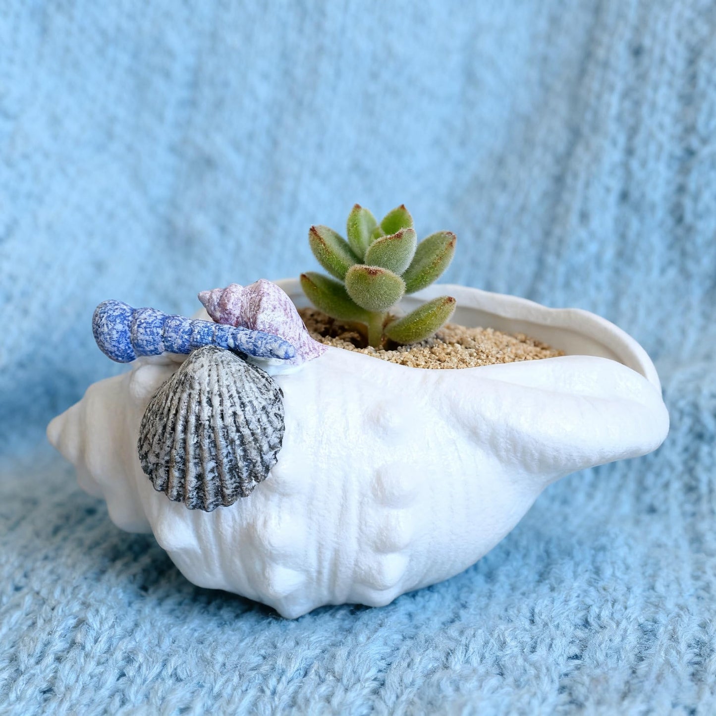 FMTITF Ceramic Seashell Planter with Drainage Hole, Succulent & Herb Pot for Indoor/Outdoor Plants, Hand-Painted Ocean Décor for Home, Office, or Garden (Blue/Lavender/Gray Shell Accents)