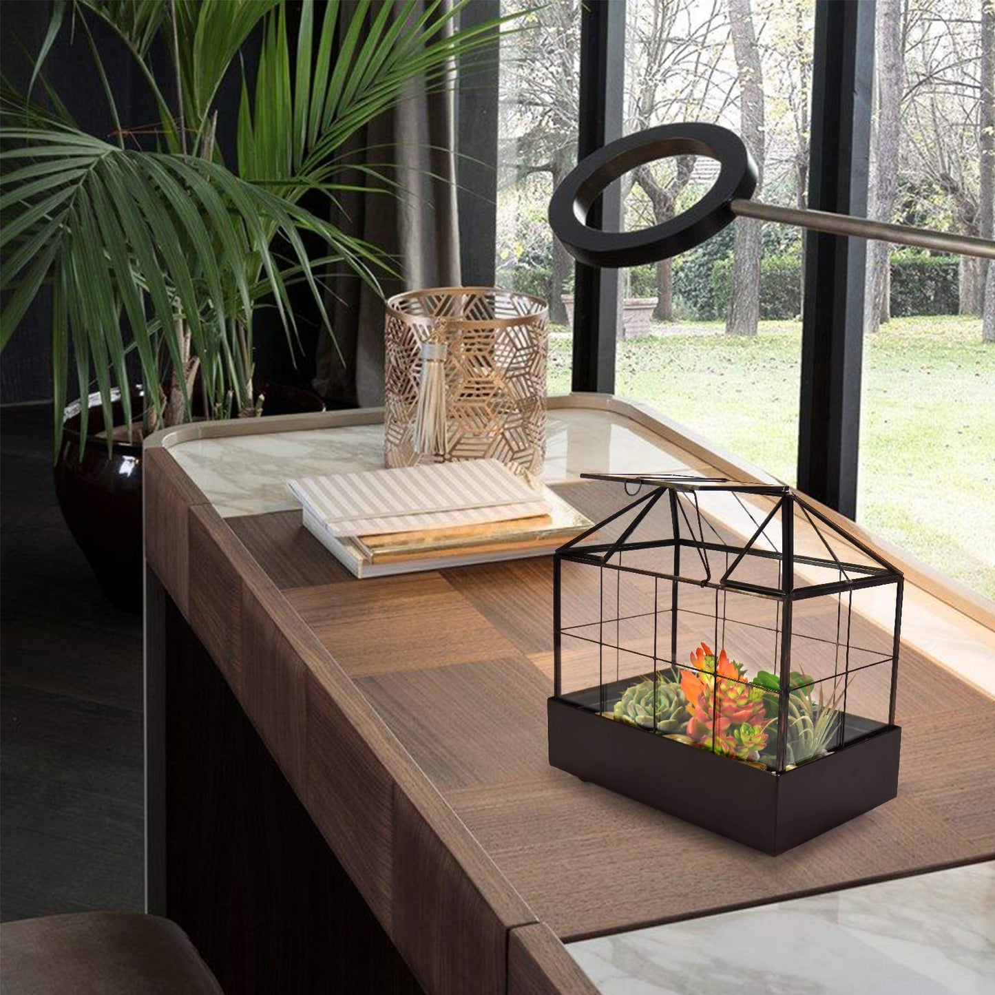 YIMORENCE V Large Tall Plant Terrarium Glass Greenhouse with Lid and Tray, Indoor Tabletop Orchid Succulent Cacti Kit 9.5'X9.8'X5.6'