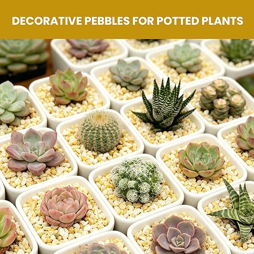 1/8 Inch Aquarium Gravel, Small Pebbles for Fish Tank, Indoor Plants & Succulents, Natural Mini River Rocks for Dressing & Vase Filler, Cream Beige, 12LB