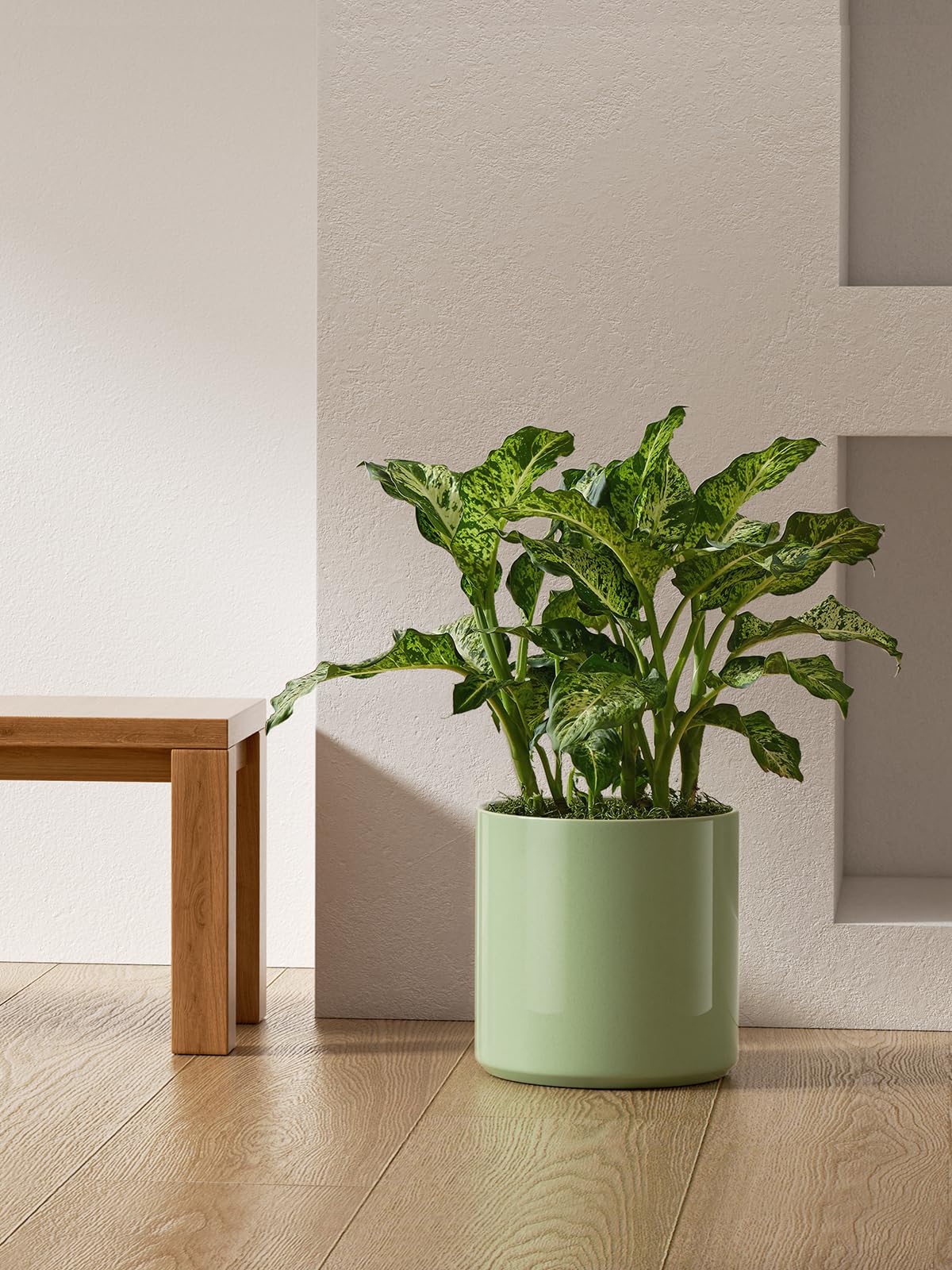 LE TAUCI 12 Inch Pot for Plants, Ceramic Planters for Indoor Plants, Mid-Century Modern Cylinder Flower Pots with Drainage Hole, Fits Fiddle Leaf Fig & Monstera, Home Decor, Sage Green