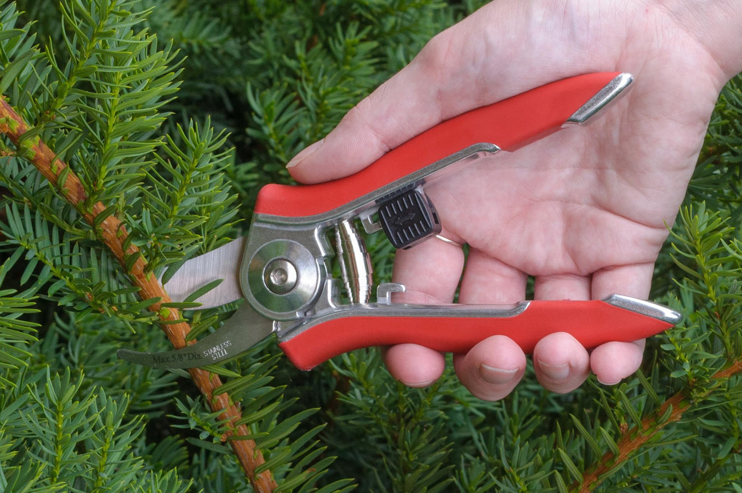 Dramm ColorPoint Stainless Steel Compact Garden Pruning Shears, Hand Pruner, Garden Clippers, with Heavy Duty Blade and Easy grip Handle, Green
