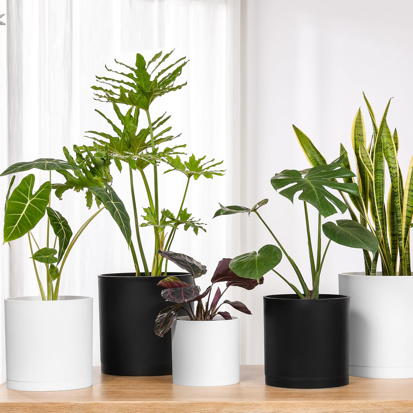 FaithLand 10-Inch Modern Cylinder Planter, Thick-Walled Plastic Plant Pot with Drainage Holes and Detachable Saucer, Matte White, Ideal for Indoor & Outdoor Plants Flowers
