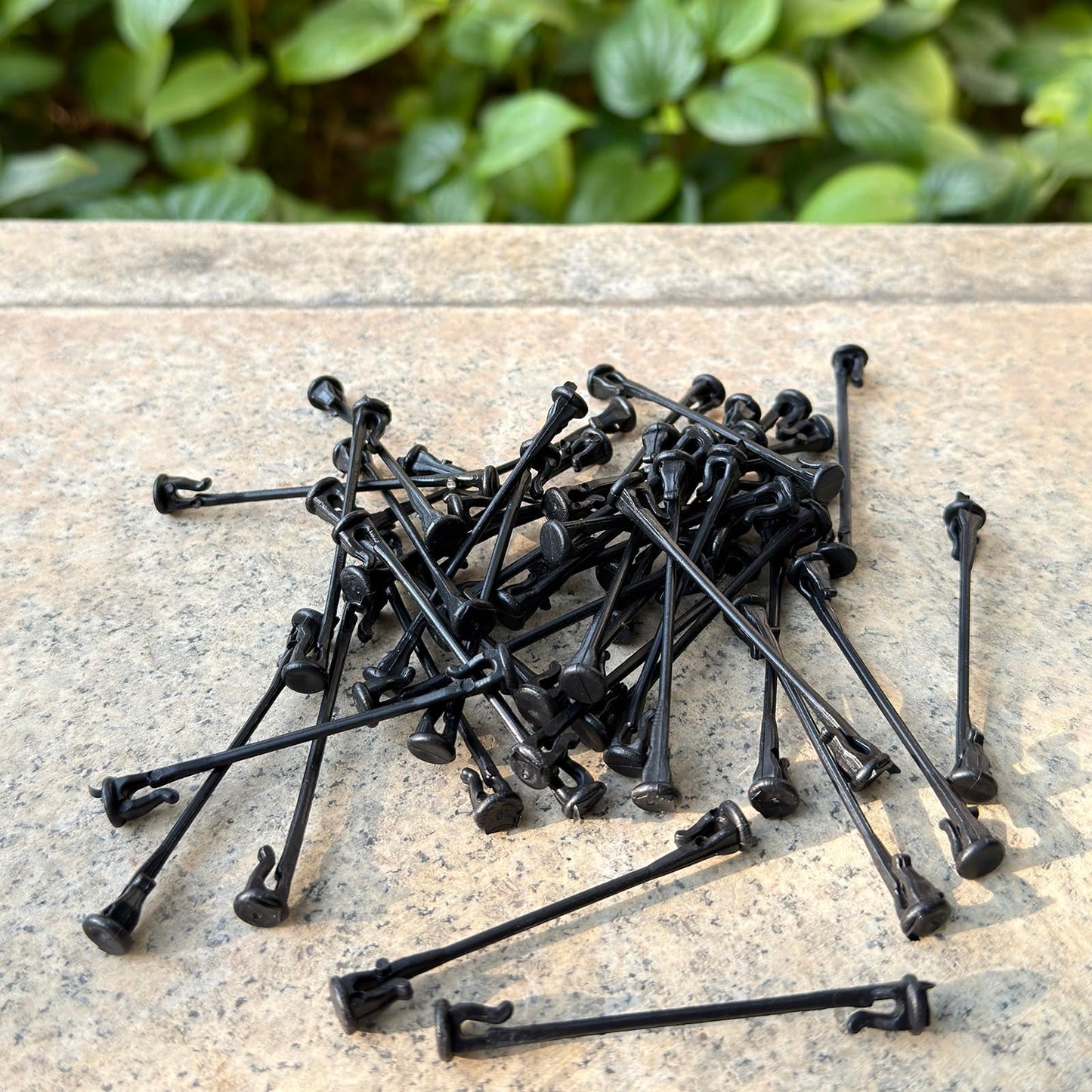300PCS Raspberry Trellis Clips - Grape Trellis for Grape Vines Support Kiwi Stem Tomato Climbing Plants Vine Clips Grape Ties Garden Plant Support Clips Holder Fruit Buckles Hooks Training Grow Ties