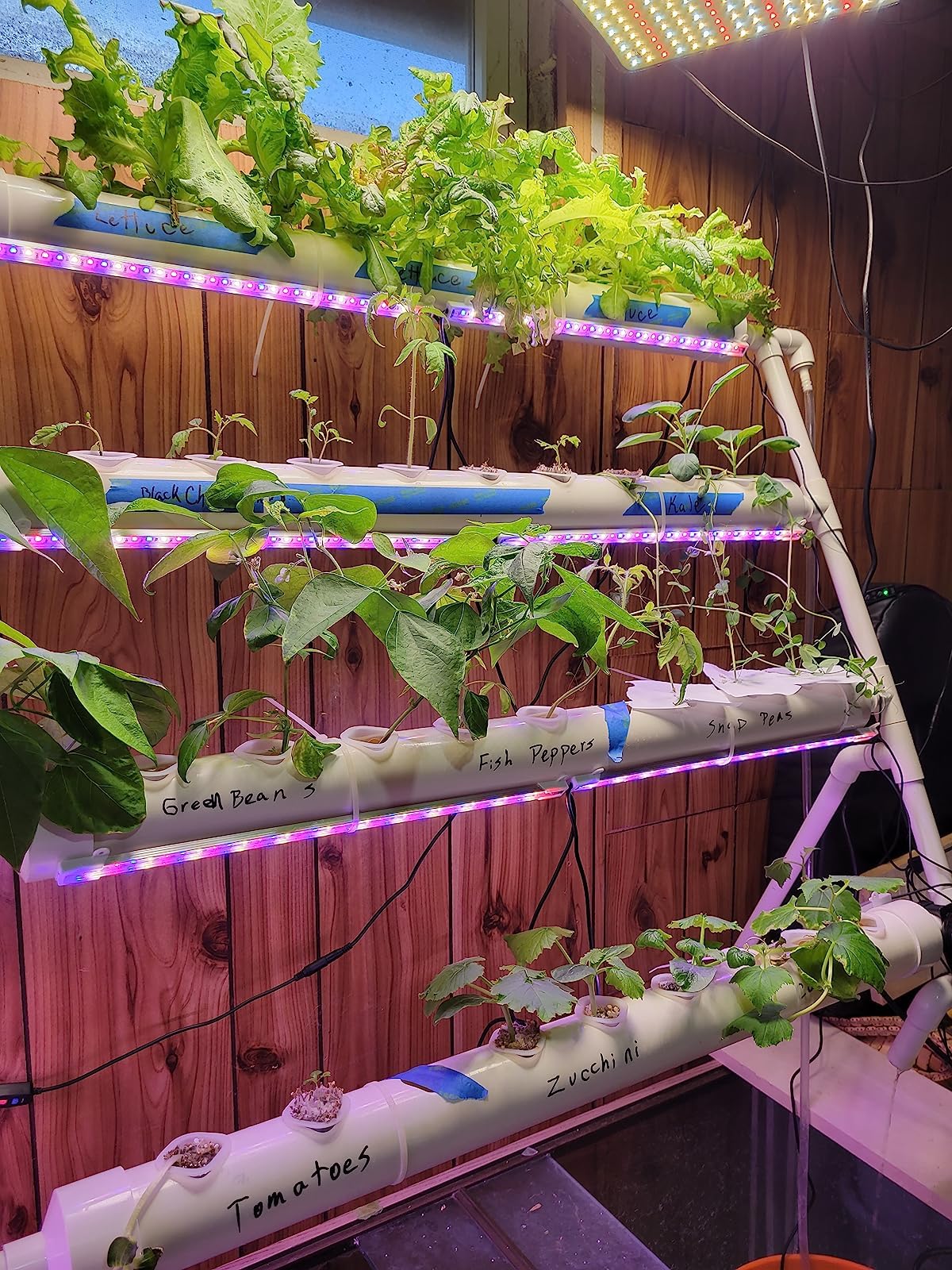 LAPOND Hydroponics Growing System Kit 36 Plant Sites Food-Grade PVC-U Pipes Hydroponic Grow Kit Gardening System for Vegetables,Fruits,Herb