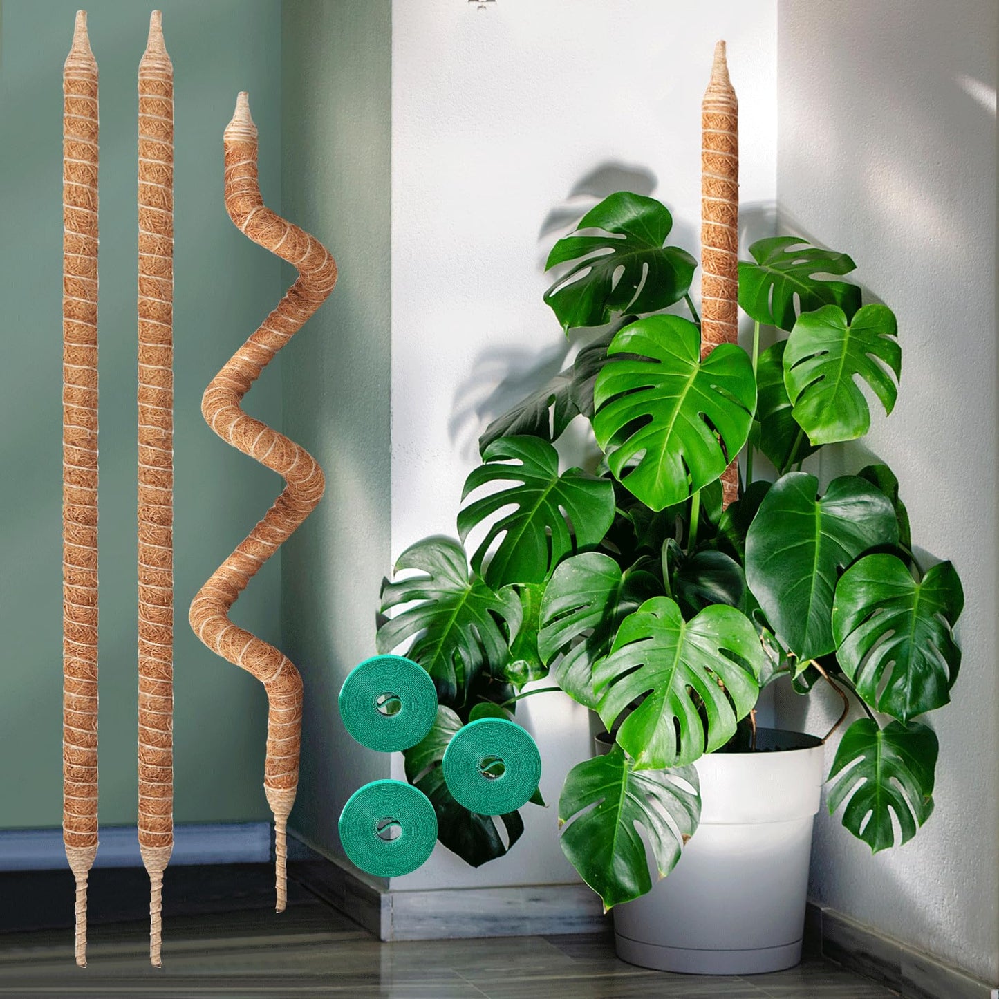 Vanut 3-Pack 48in Moss Poles for Monstera, Plant Supports for Indoor Plants, Pothos Vines, Philodendron, Fishbone Cactus & Indoor Tropical Houseplants, Made for Coco Coir