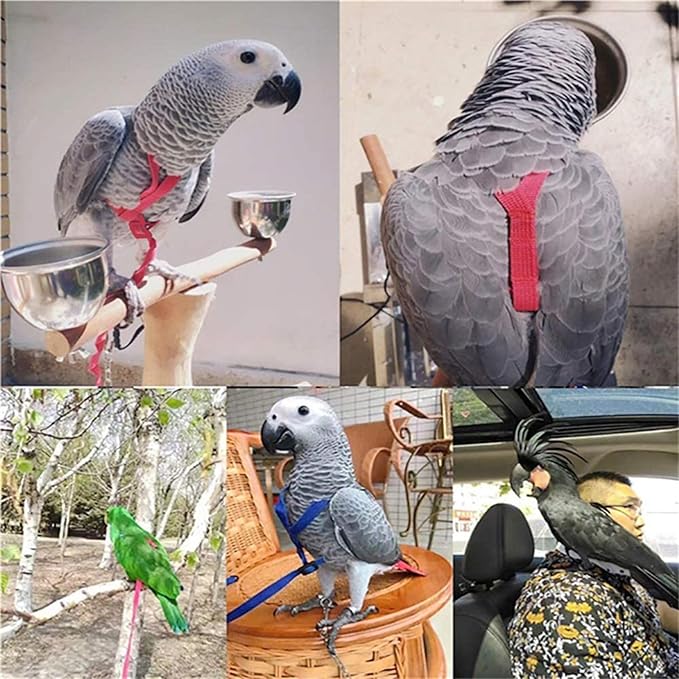 Pet Parrot Bird Harness and Leash, Adjustable Training Design Anti-Bite, Bird Nylon Rope with Cute Wing for Parrots, Suitable for Scarlet, Keck, Mini Macaw and Same Size Birds (01)
