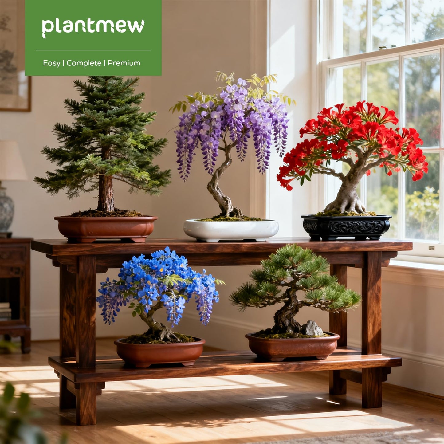 Bonsai Starter Kit for Adults ā Complete Indoor Tree Growing Set with Jacaranda Seeds, Tools & Planter | DIY Gardening Hobby Kits for Plant Lovers, Unique Easter Gifts for Men & Women