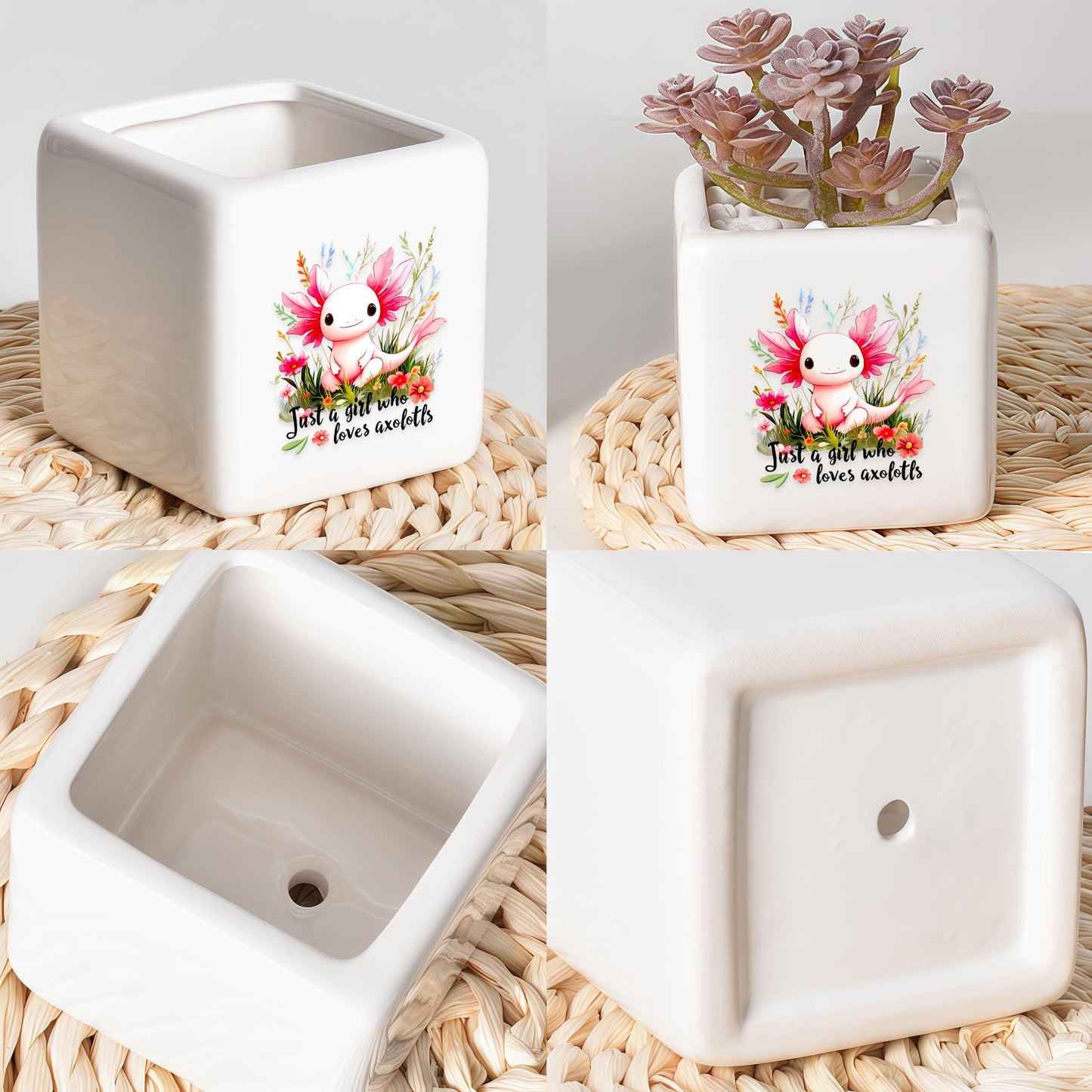 BJDAMAI Axolotl Succulent Planter Flower Plant Pot Small, Gifts for Women Teens Girls Kids, Axolotl Lovers Themed Stuff Accessories Things Decor Merch, Home Office Table Desk Decoration!