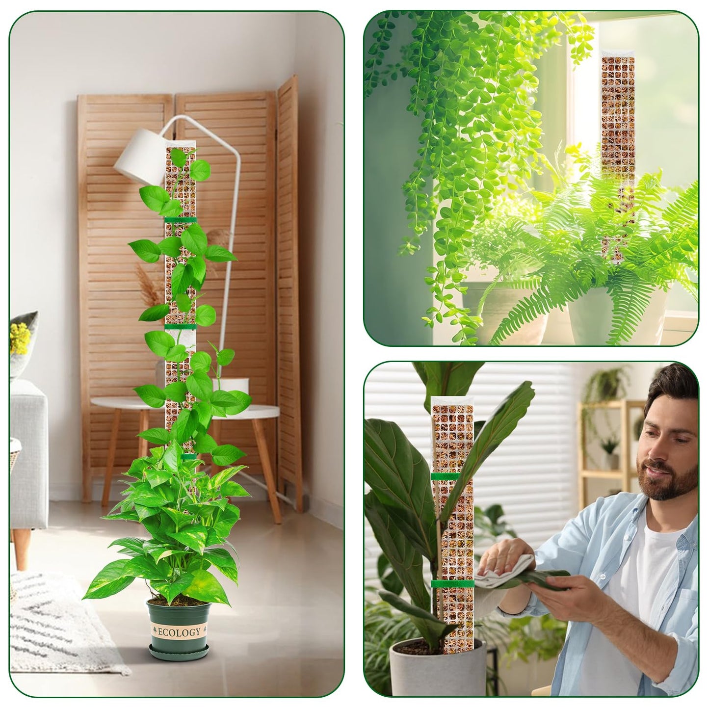 YSKS 6 Pcs 24-inch Plastic Moss Poles for Plants ,Moss Poles for Climbing Plants, Indoor Plant Support Work with Sphagnum muss
