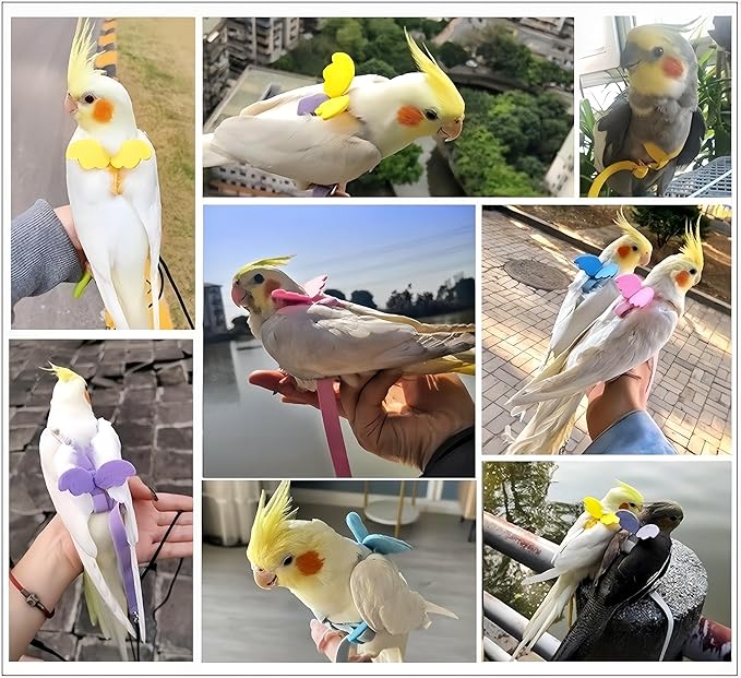 3 Sets Pet Parrot Bird Harness and Leash with Cute Wing, Adjustable Bird Flying Harness Straps Outdoor Training Traction Rope for Parrots Pigeons Lovebird Cockatiel(L,Pink, Yellow&Purple)