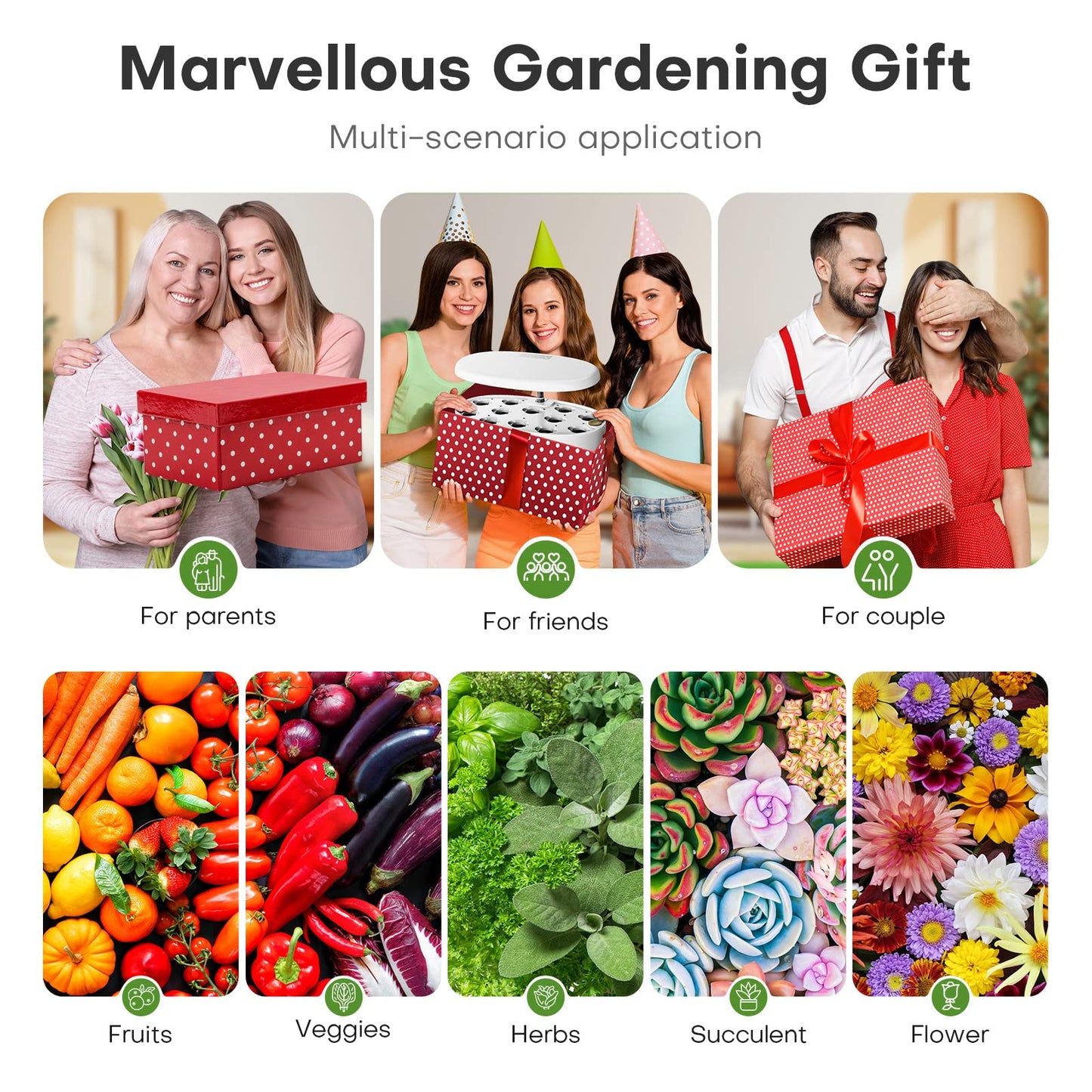 Ahopegarden Indoor Garden Hydroponics Growing System: 12 Pods Plant Germination Kit Herb Garden Kit Growth Lamp Countertop with LED Grow Light Hydrophonic Planter Grower Harvest Vegetable Lettuce