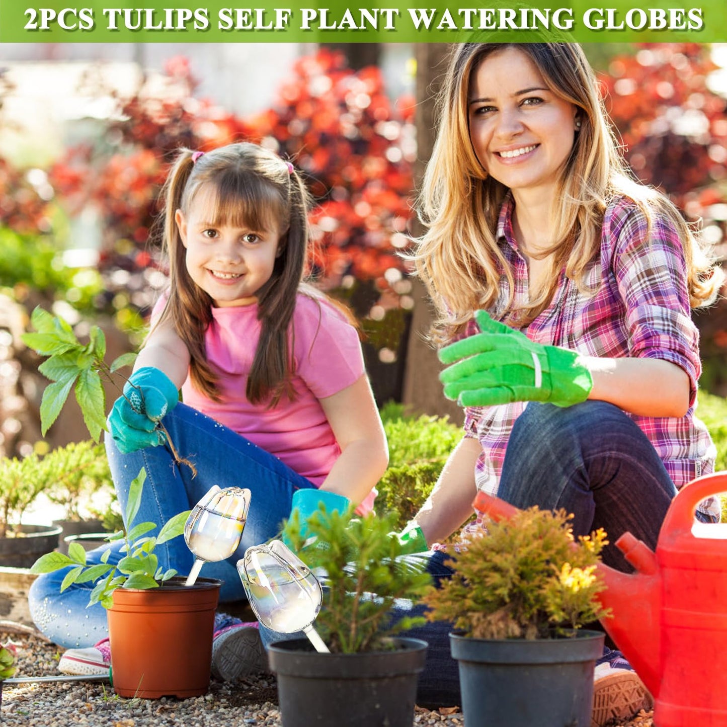 2Pcs Tulips Self Plant Watering Globes, Glass Self Watering Planter Insert, Automatic Plant Waterer Devices Indoor Outdoor (Transparent)