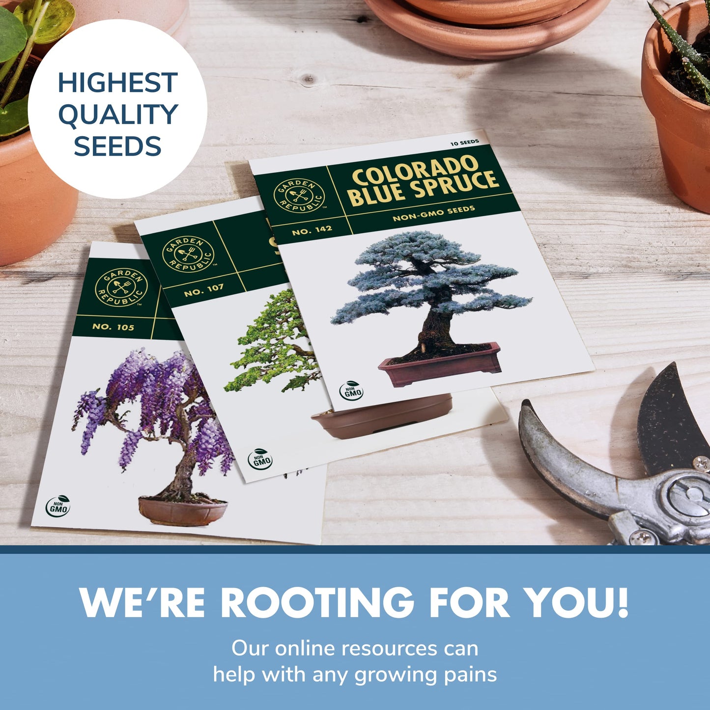 Garden Republic Bonsai Tree Kit - Mini Bonsai Seeds, 3 Types - for Indoor Plant Growing - Starter Kit with Seeds, Soil, Planters & Shears