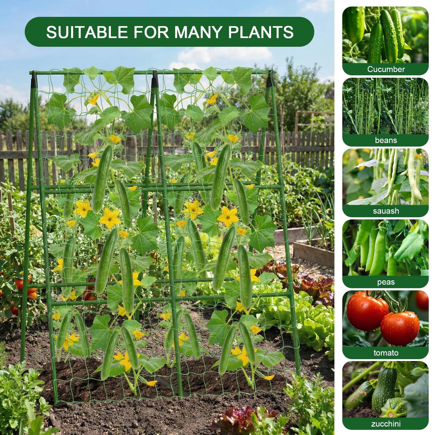 2-Pack A-Frame Cucumber Trellis for Raised Bed - 33"x47" Foldable Garden Trellis with Net & Clips|Space-Saving Metal Plant Support for Cucumber, Tomato, Peas|Rust-Proof Outdoor Climbing Plants Trellis