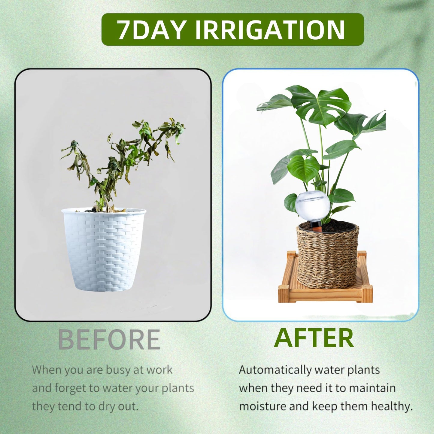 2 Pack Self Watering Globes for Indoor & Outdoor Plants โ 17oz Automatic Water Bulbs for Indoor PlantsโSlow Release Control Water Dripper for Plants โ Plant Watering Devices While Away