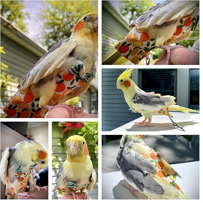 6Pcs Bird Diapers Bird Harness Flight Suits Diapers Reusable Parrot Nappy with Waterproof Inner Layer Washable Cute Urine Wet Suit Costume for Cockatiel Conure Budgie Macaw Parakeet, M
