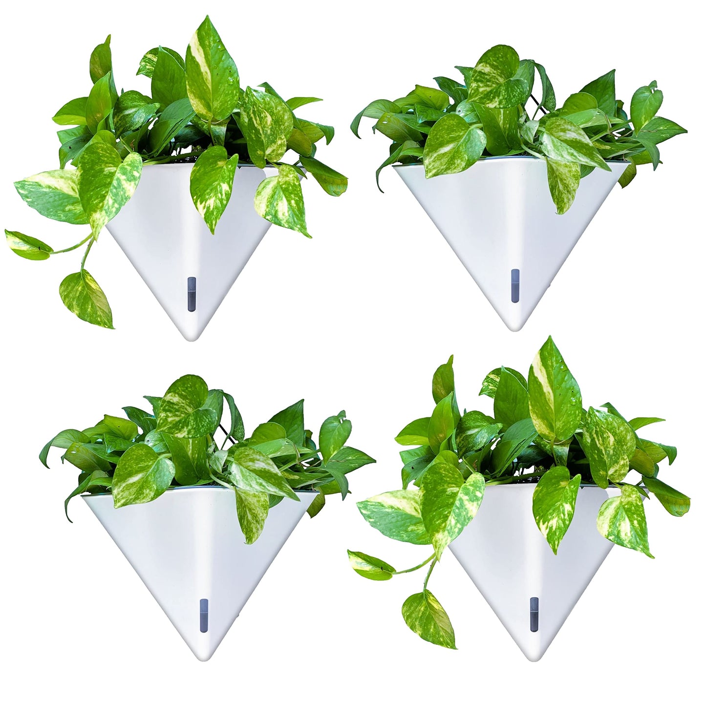 LaLaGreen Bundle - 12" x 4 Pack Black + 12" x 4 Pack White Large Self Watering Geometric Hanging Flower Vase Vessel with Metal Hanger, Modern Stylish Wall Mounted Succulent Pot Holder Decor