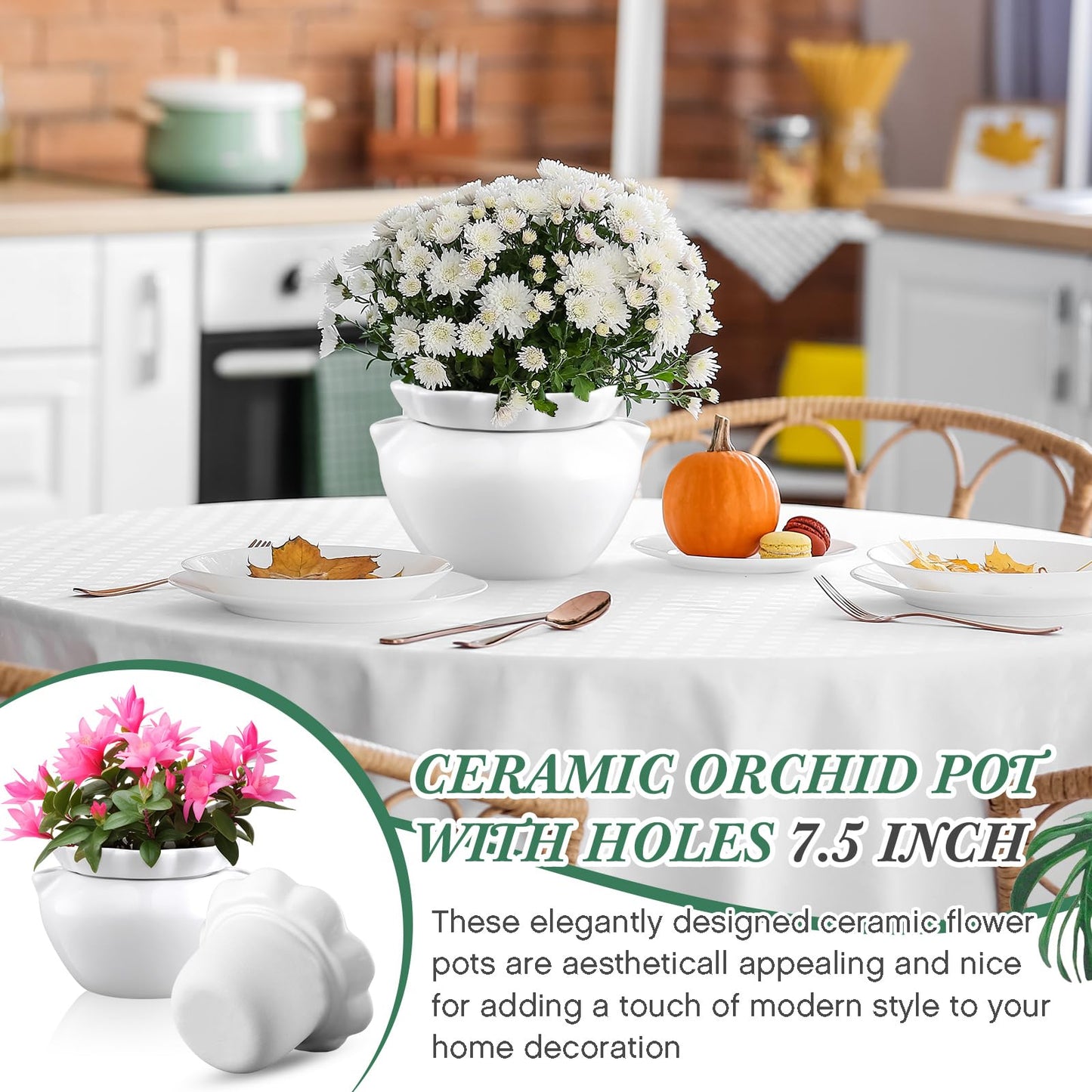 Sunnychicc 4 Set 6 Inches African Violet Pots Self Watering White Ceramic Pot for Indoor Plants, Flowerpot with Highly Absorbent Inner Pot for Busy Plant Lovers,Plant Care
