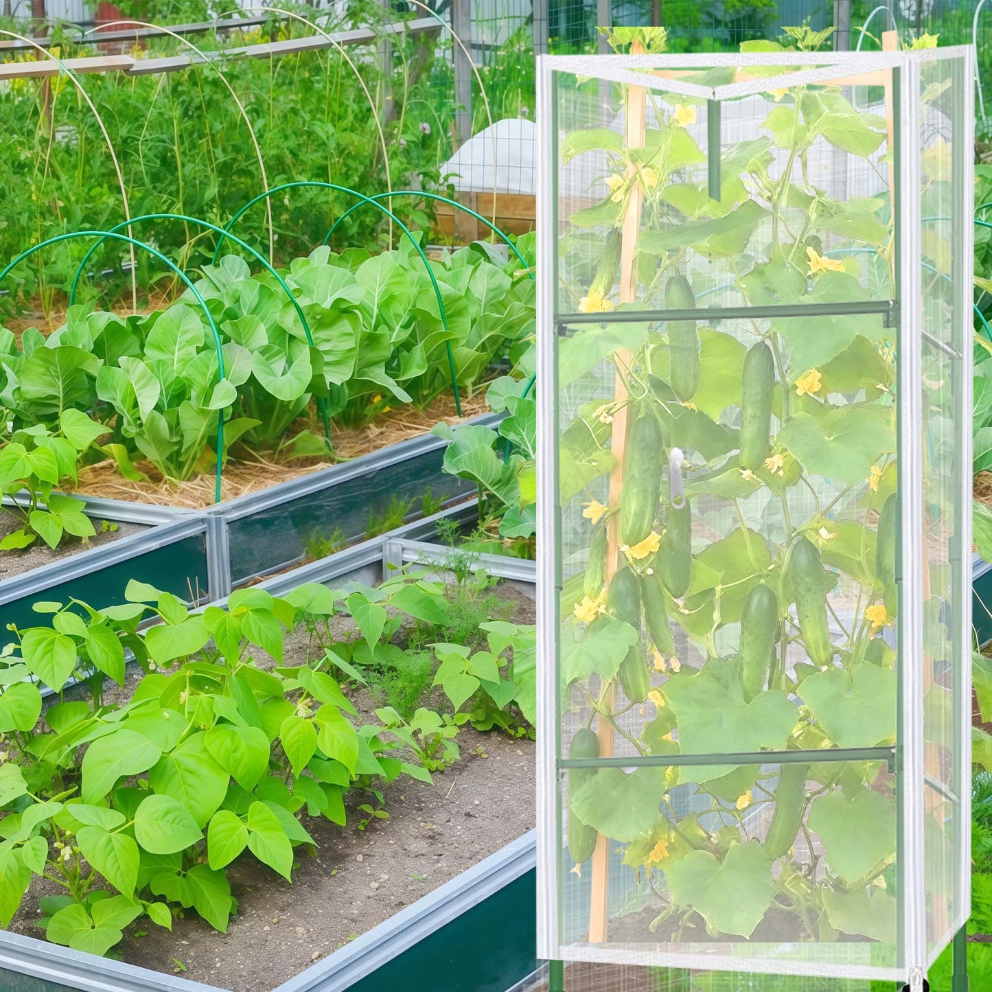 3 Set Square Tomato Cage with Plant Cover Net 47'' Tall Plant Support Structures for Vegetables Large Climbing Plants Trellis Stakes for Garden, Pots, Raised Garden Bed Outdoor Supplies