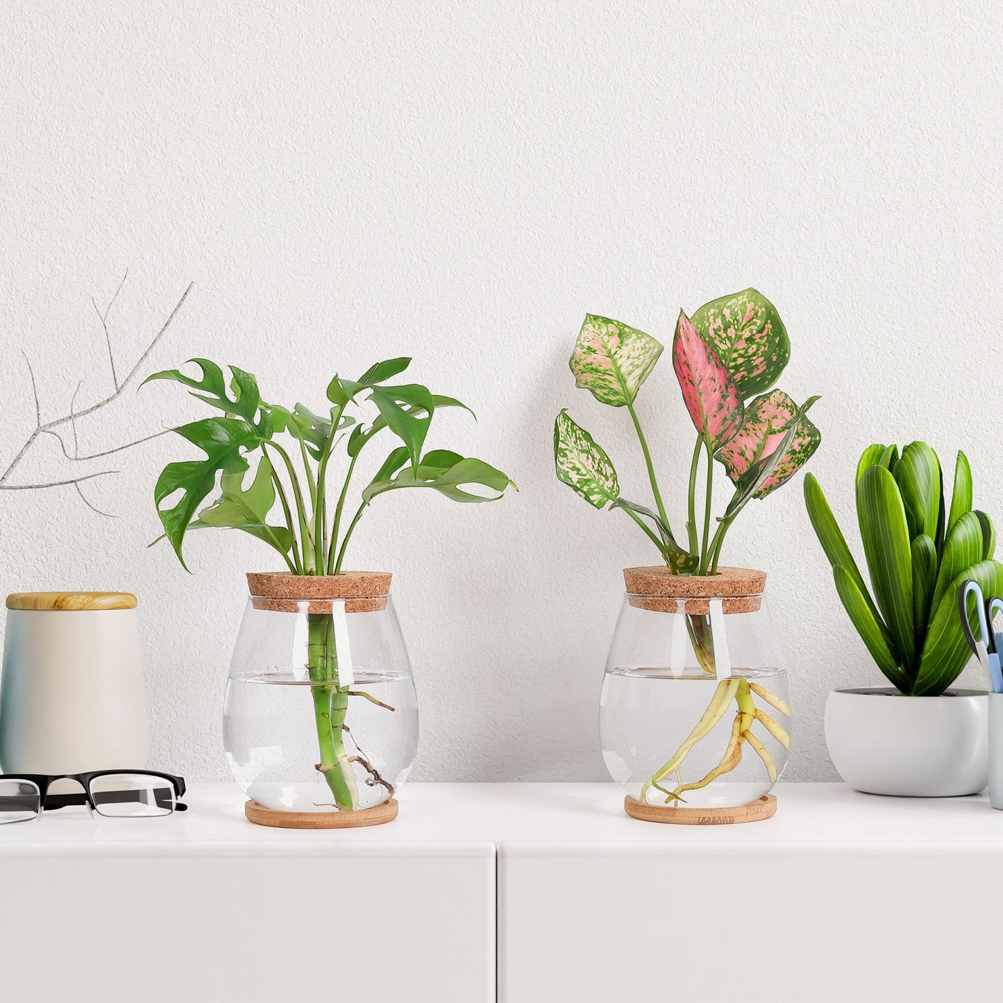 onepeng 2 Pcs Propagation Vases, Tabletop Plant Terrarium for Propagating Hydroponic, Glass Terrarium Vase Jars, Home Kitchen Decorations and Gifts for Plant Lovers
