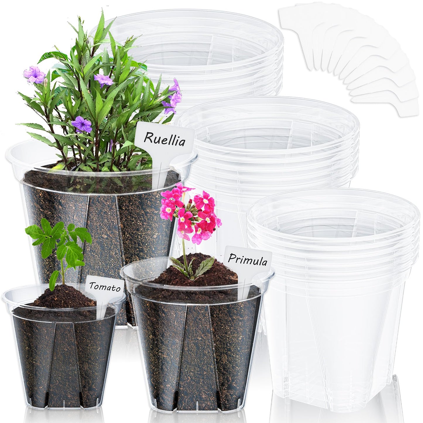 Groodo 18 Pack Clear Nursery Pots for Plants, 5.5/5.9/6.3 Inch Reinforced Plastic Plant Pots with Drainage Holes High Transparency Plant Pot Seed Starter Pot High Transparency with 10 Plant Labels