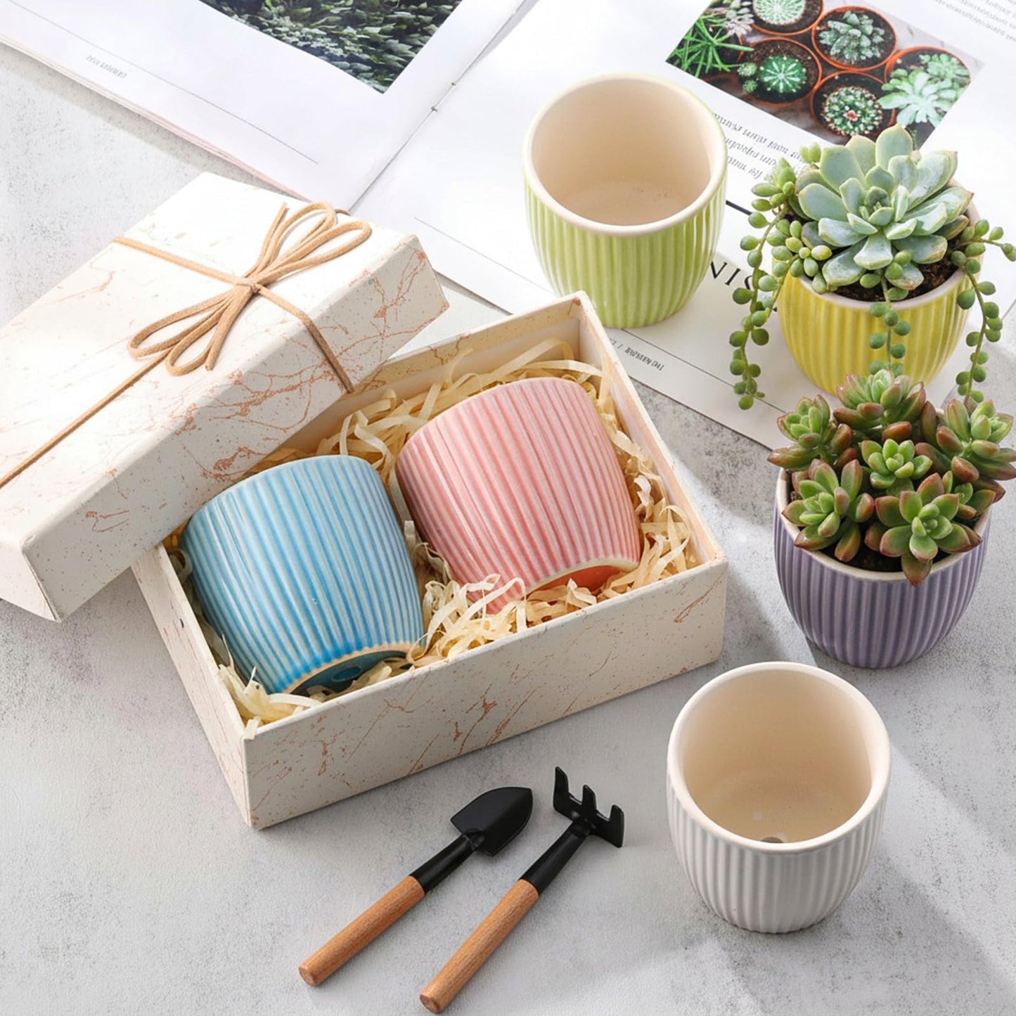 Ferrochef 24 Pcs 2.7 Inch Small Succulent Plant Ceramic Pot with Drainage Hole, Cute Mini Succulent Pots for Plants, Succulents, Cactus, DIY Easter Spring Craft Activity, 6 Colors(Vertical Stripes)