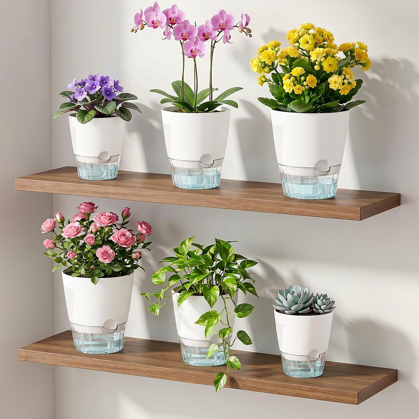 Hayder 5/6/7 Inch Self Watering Pots for Indoor Outdoor Plants 6 Pack, Plastic Planter with Drainage Holes, Water Level Indicator & Deep Clear Reservoir, Modern Decorative Flower Pots