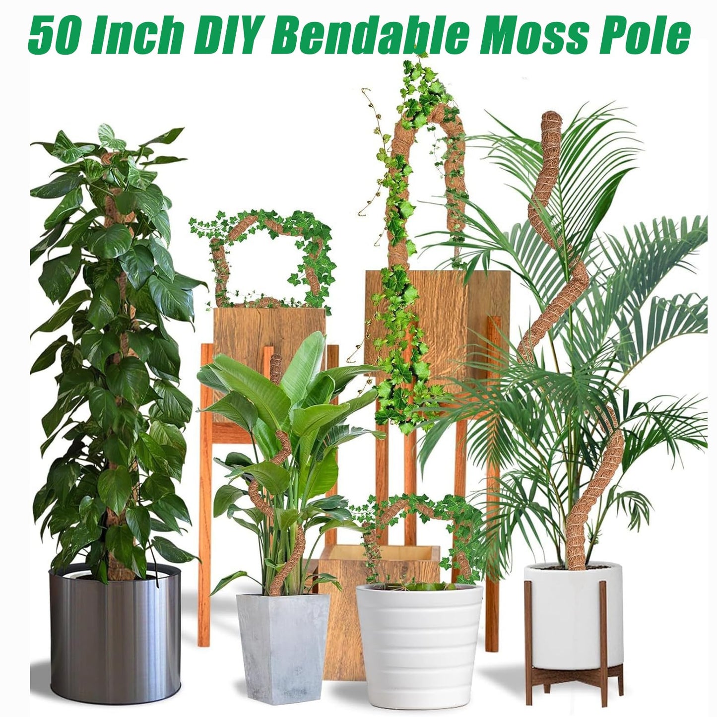 3-Pack Tall Moss Poles (50 Inch) - Coco Coir Plant Support Sticks for Potted Plants (Monstera, Pothos, Philodendron)
