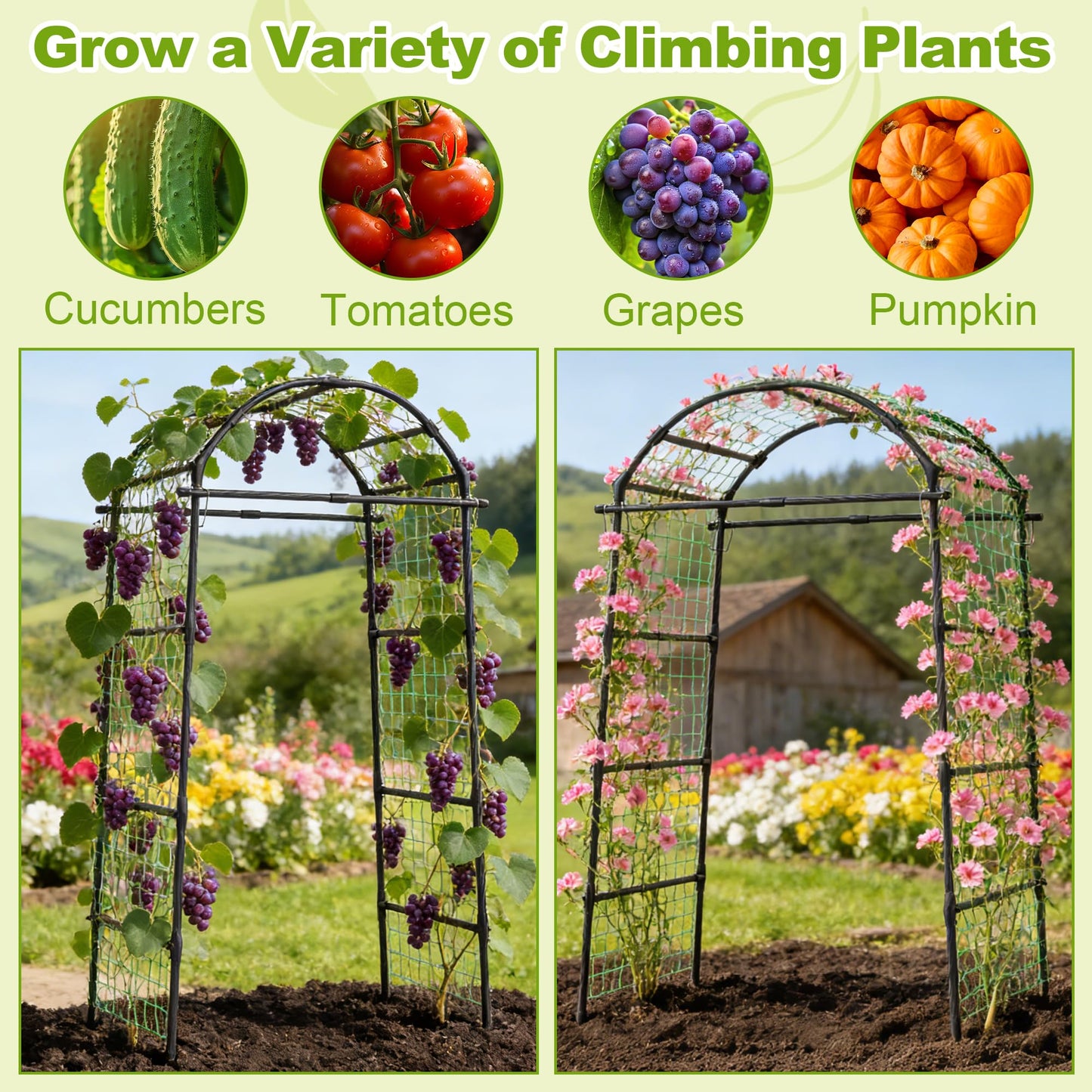 Miory Garden Arch Trellis for Climbing Plants Outdoor, 7ft Tall Plants Support Trellis for Climbing Vine Tomato Vegetable Flower Fruit, Cucumber Trellis for Raised Bed (32 x 83 Inch)