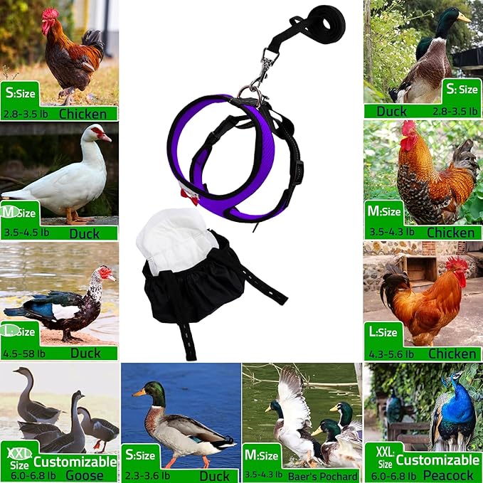 Adjustable Chicken Harness Diaper (5.4ft Leash) โ Breathable & Washable Secure Training for Hens, Ducks & Chicks | Outdoor Walking & Discipline Solution (Small, Purple)