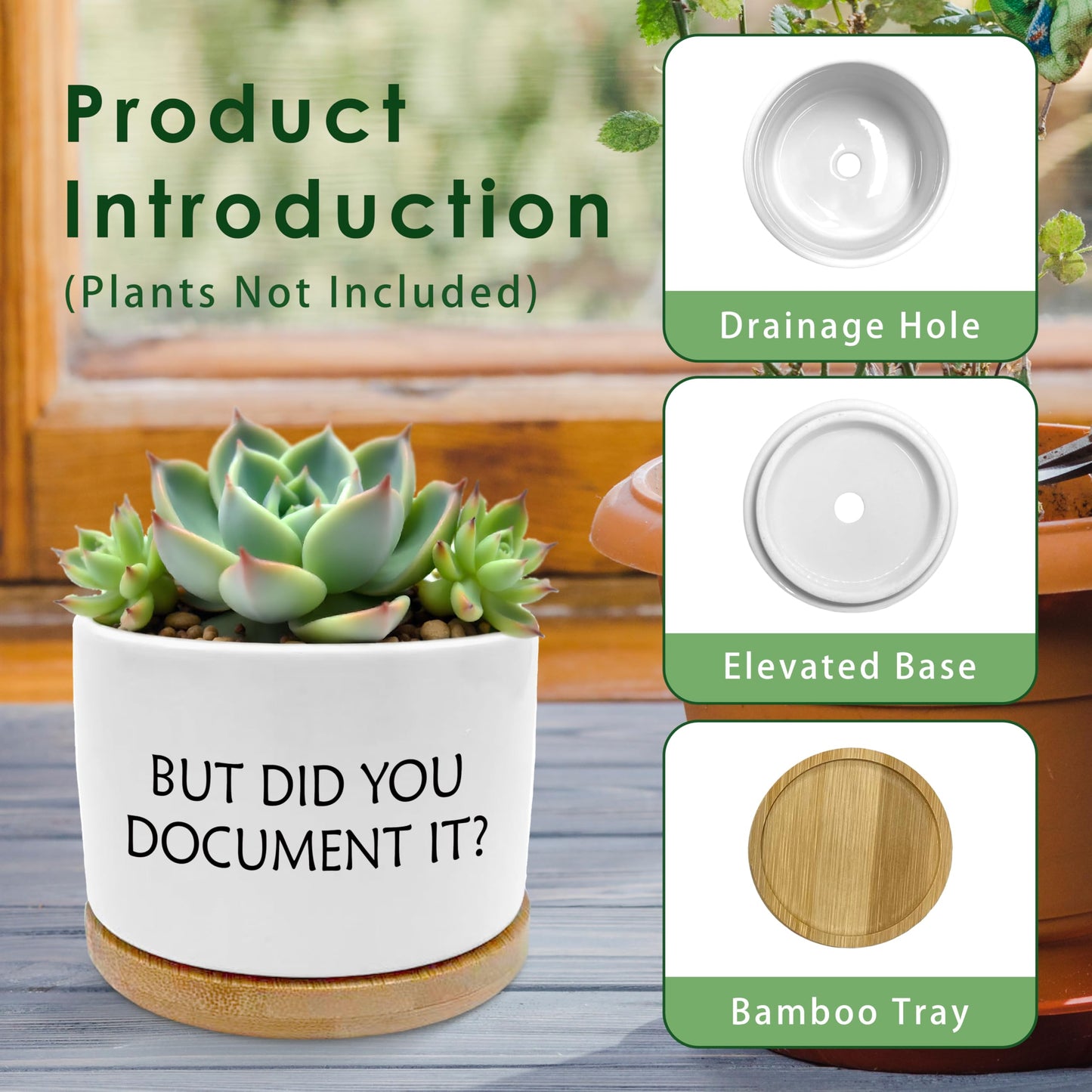 ROXMART But Did You Document It Funny Plant Pots, Funny Office Gifts Succulent Planters, Sarcastic Gifts for Women Men Coworker Ceramic Plant Flower Pots for Home Office Desk Table Shelf(No Plants)