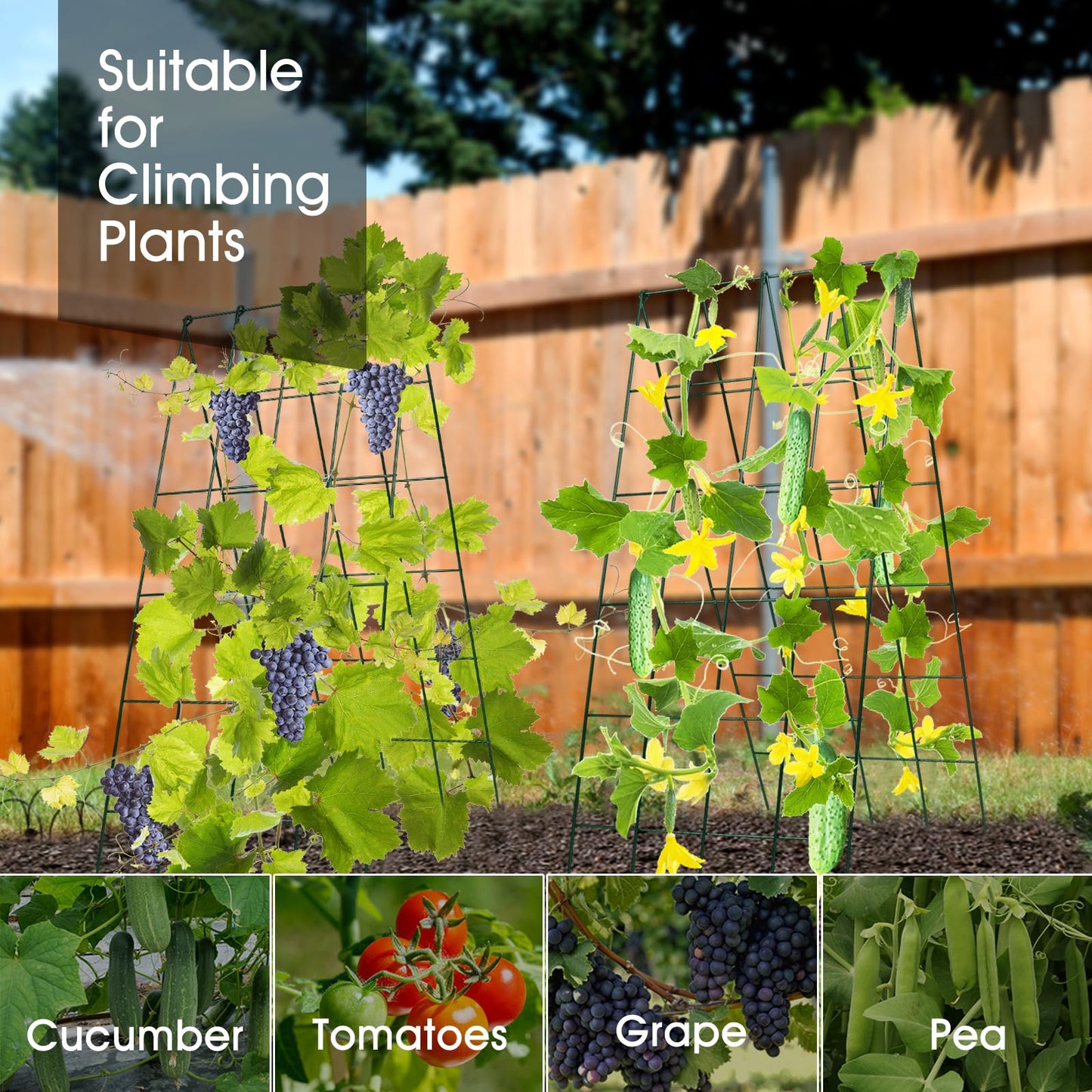 Cucumber Trellis for Raised Bed, Rifny 16.5 x 40 Inch Metal Trellis for Climbing Plants Outdoor with Plant Clips Twist Ties, Garden Plant A-Frame Trellis for Vegetable Pea Tomato (Green, 2 PCS)