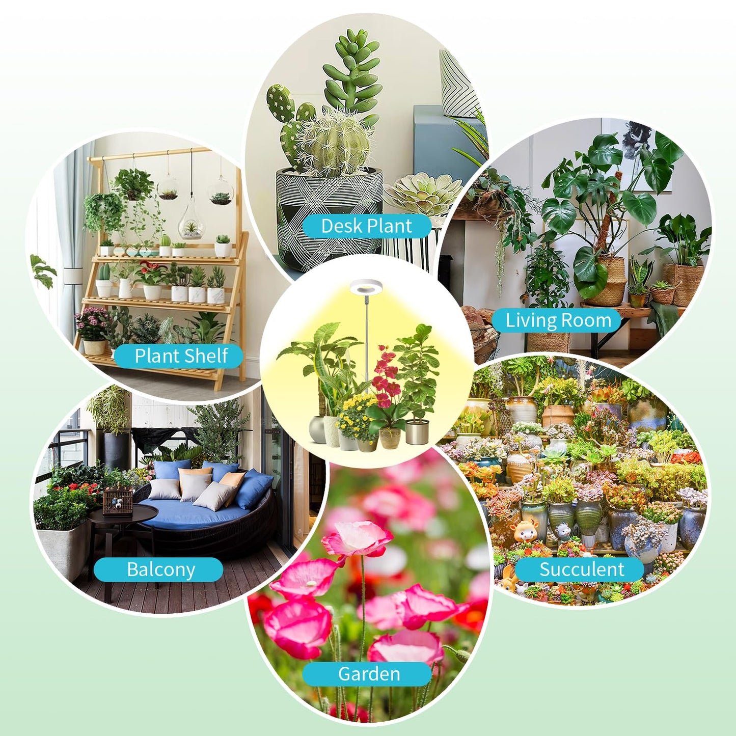Halo Ring Grow Lights for Small Indoor Plants, Warm+White 96LEDs Full Spectrum Plant Light, Height Adjustable with Adapter, 3/9/12H Timer, 3 Spectral Modes, 10 Dimmable Levels, Angel Ring 2 Pack