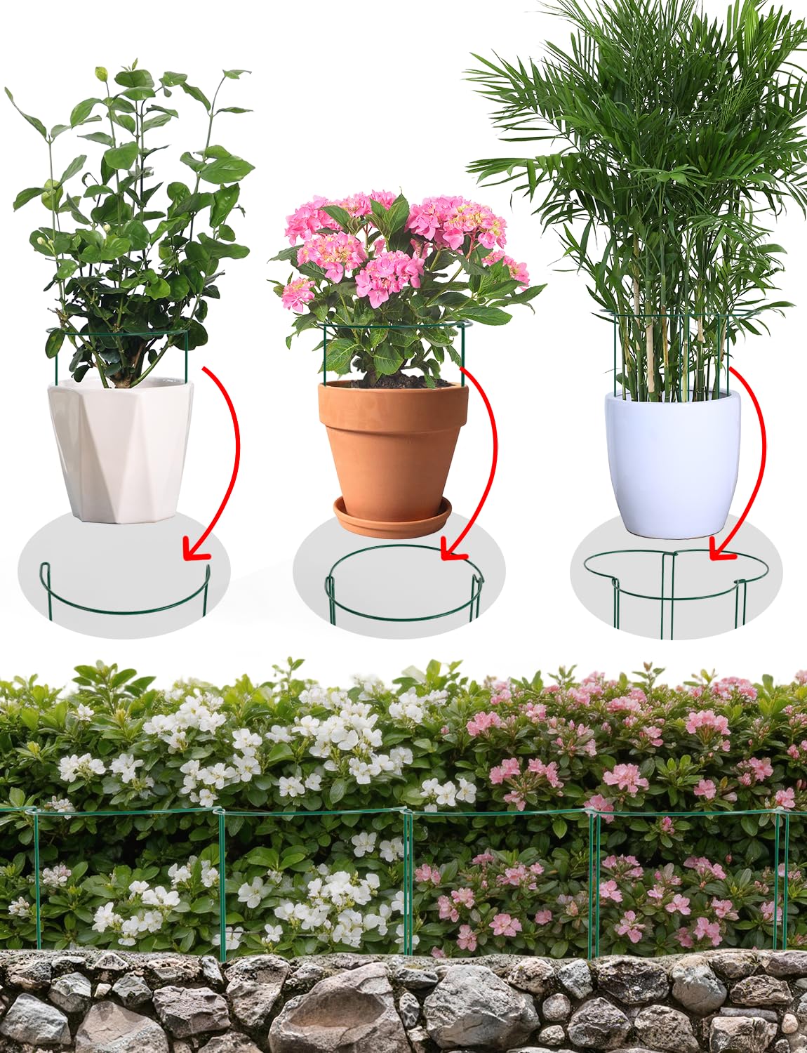 12 Pack Plant Support Stakes, 10" W x 16" H Metal Peony Cages and Supports, Green Half Round Garden Plant Support Ring for Outdoor Indoor Plants, Rose, Hydrangea, Tomato, Snake Plant