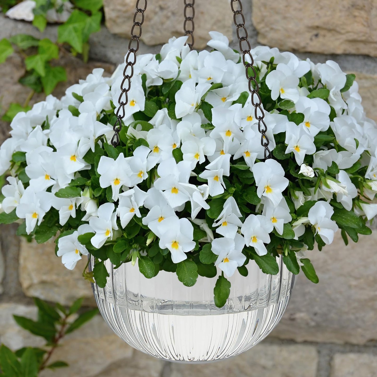 Meanplan 4 Pcs Self Watering Hanging Planter Indoor 6.5 Inch Hanging Baskets for Plants Outdoor Plastic Flower Pot with 3 Hooks Chains Drainage Holes for Garden Home, Medium Size(Clear)