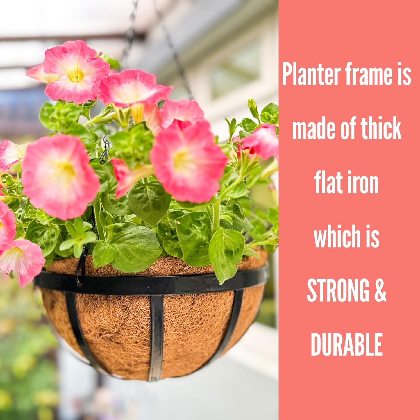LaLaGreen Outdoor Hanging Baskets for Plants (12 Inch, 2 Pack) Medium Black Hanging Planters with Coco Liner, Metal Flat Iron Flower Pots for Deck Patio Porch Modern Garden Balcony Outside Decoration