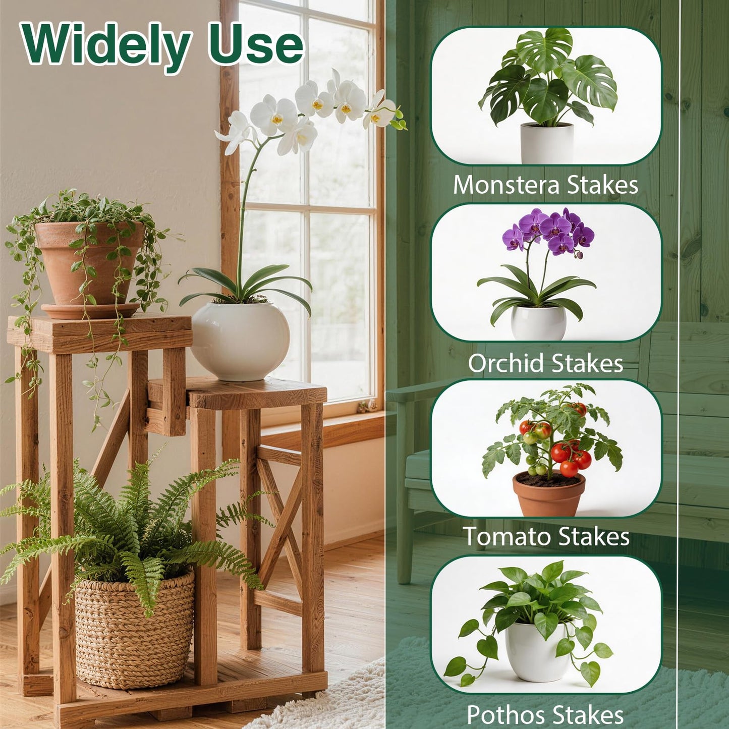 10Pack Stackable Plant Support, 2 in 1 Monstable Plant Stakes & Tomato Cage Kits for Indoor Outdoor Climibing Plants, Durable Alternative to Moss Pole Sticks Trellis for Houseplants Potted