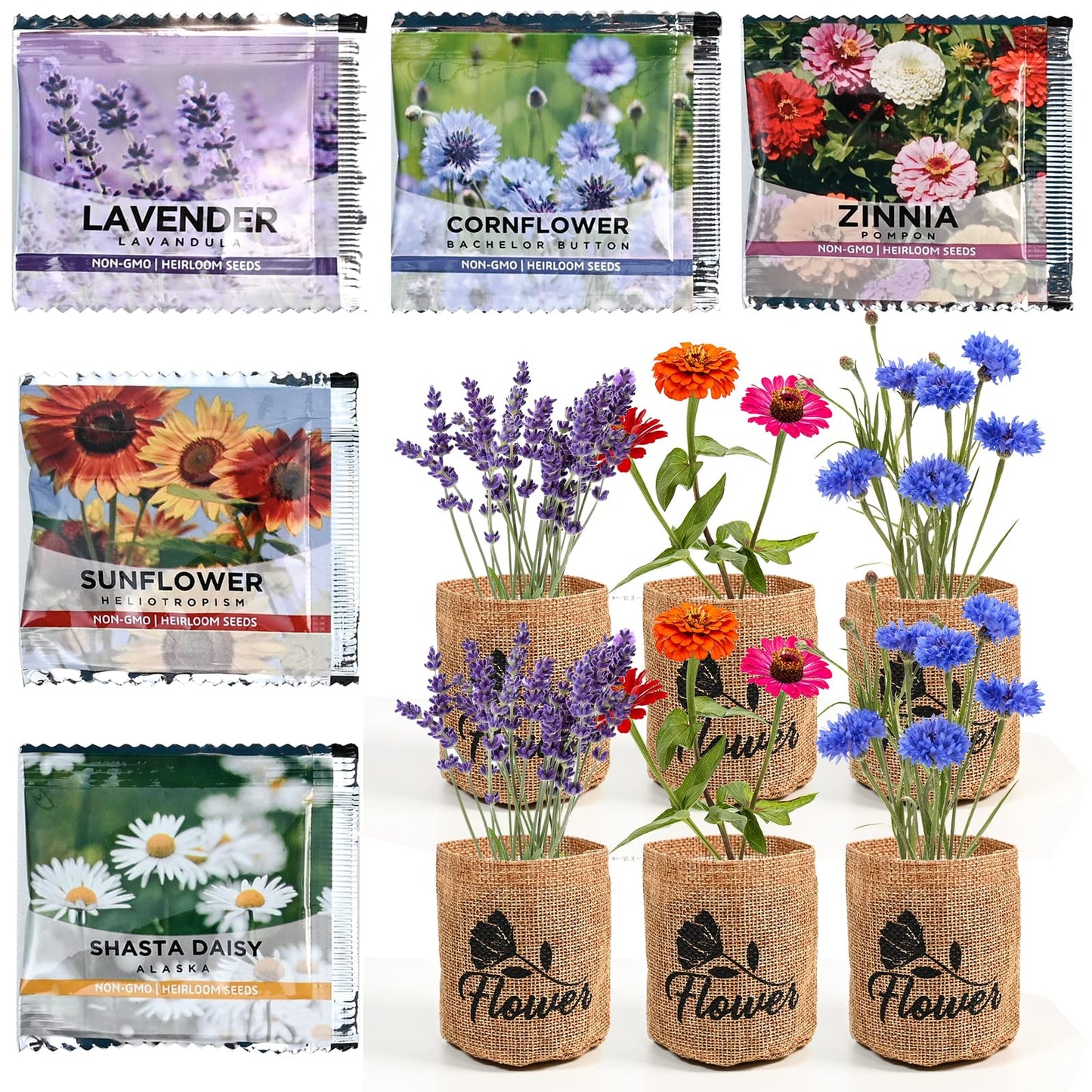 Indoor Daisy Garden Starter Kit with Gardening Tools - Planter Bags, Markers, Soil Disks and Shears, Home Gardening Gifts for Women Men Plant Lovers