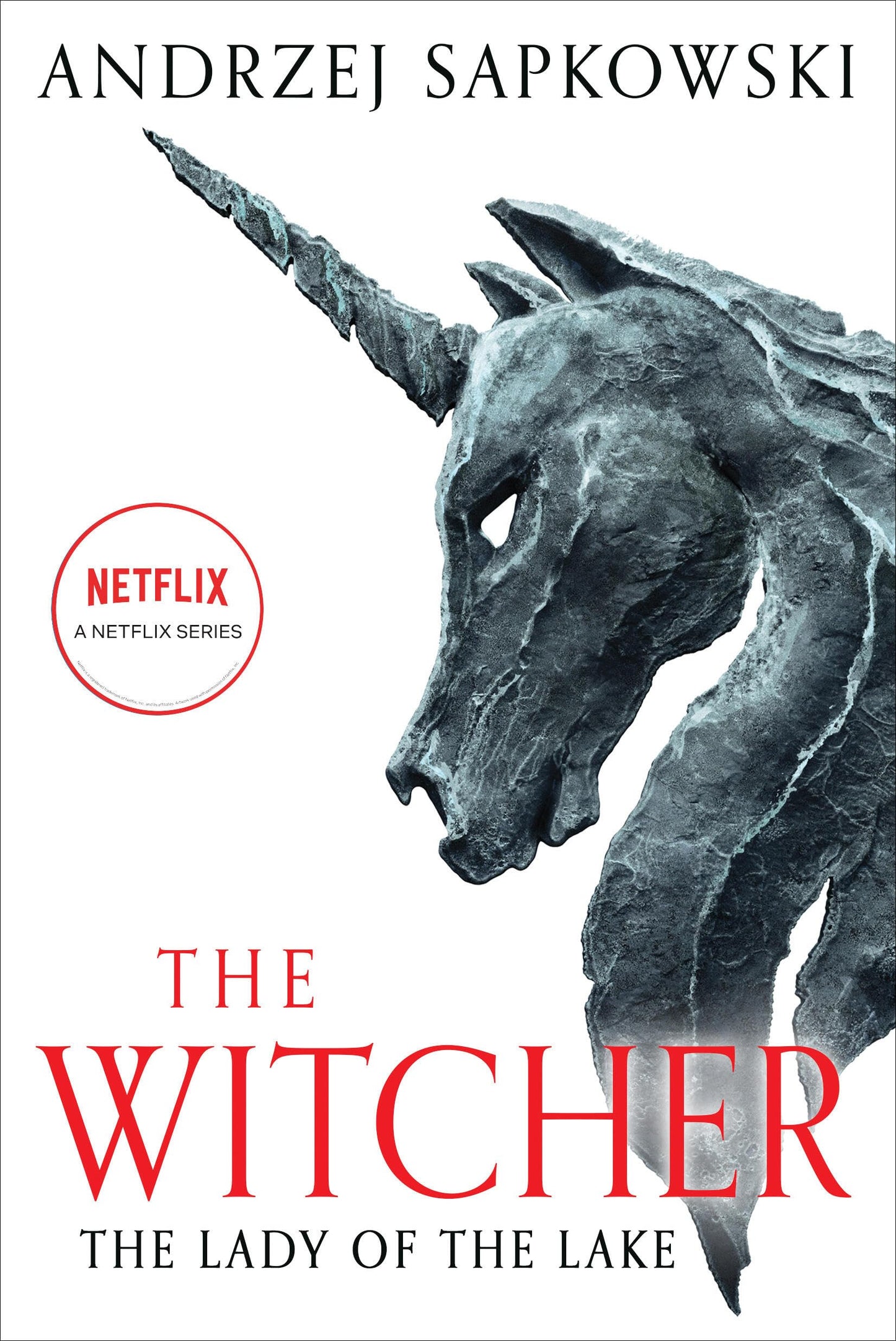The Lady of the Lake (The Witcher Book 7 / The Witcher Saga Novels Book 5)