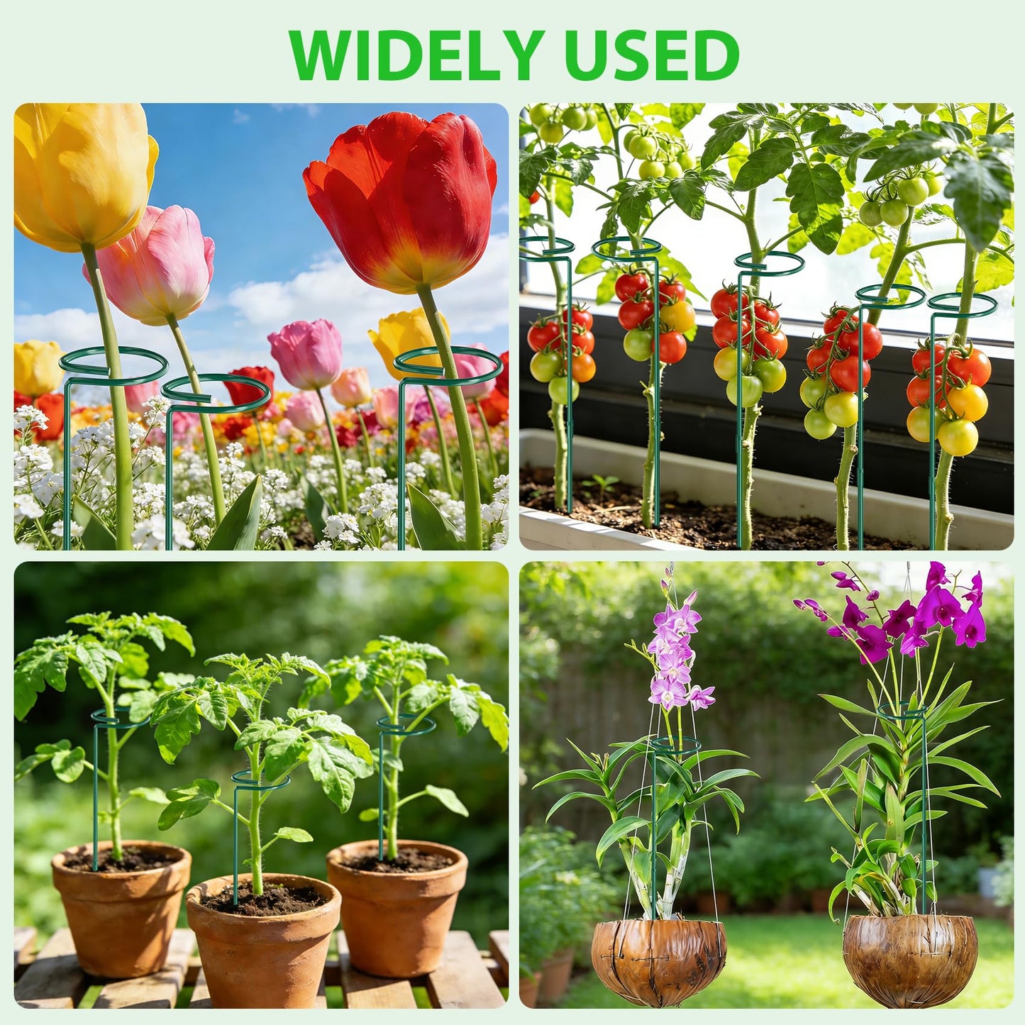 Unves 12 Pack Plant Support Stakes, 36 Inch Garden Plant Stakes, Three Sizes(36 or 24 or 12 Inch) Single Stem Plant Cage for Outdoor Indoor Plants, Sunflower, Tomatoes with 100 Pcs Twist Ties
