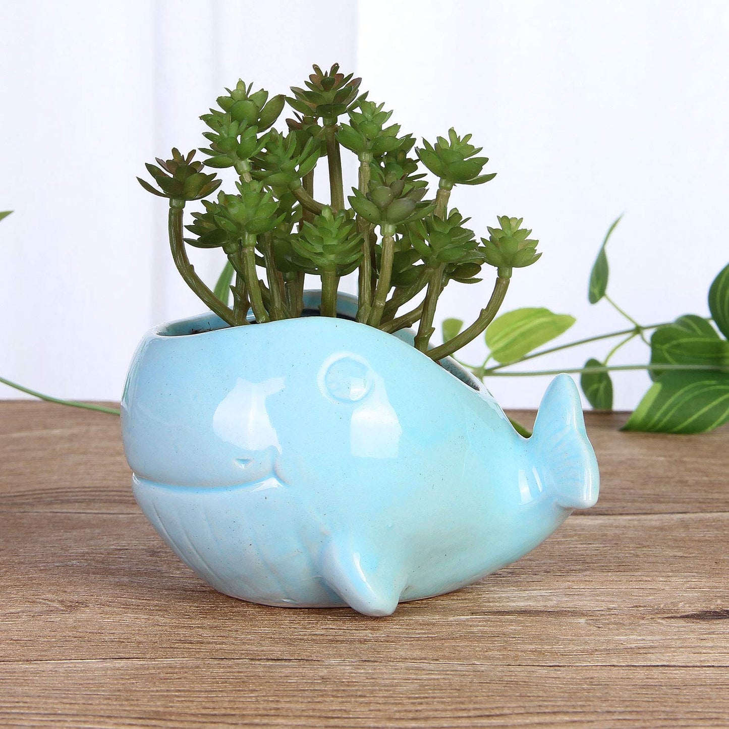 VanEnjoy 5" Ocean Blue Whale Ceramic Succulent Pot, Medium (3.86 x 4.64 x 2.87 inches), Indoor Use