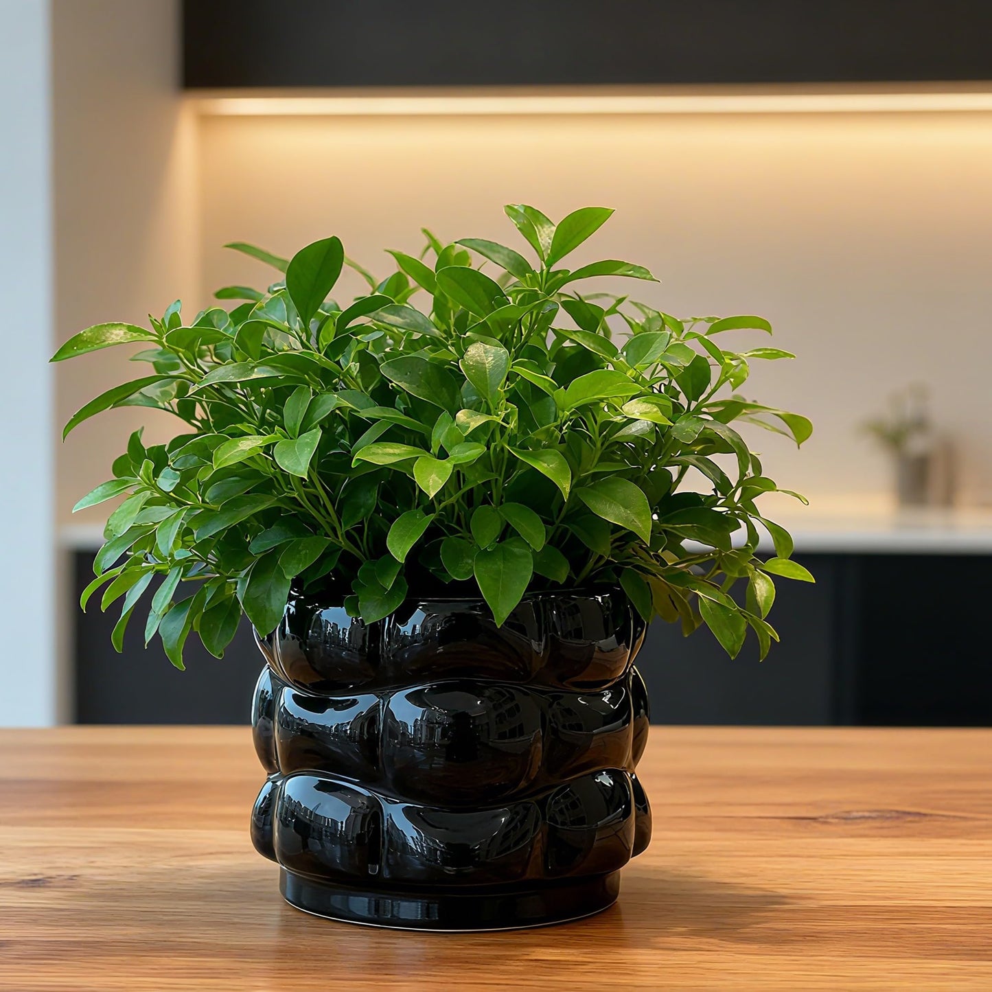 FUYHE 5.8 inch Ceramic Plant Pots with Drainage Hole,Modern Flower Pots for Indoor Plants,Black Ceramic Pots for Succulents, Home & Office Décor (Black)