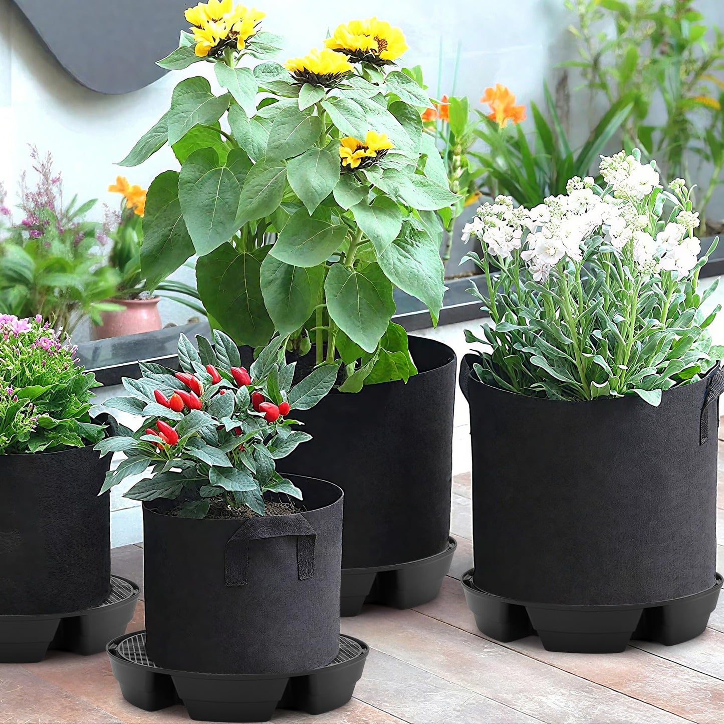 4-Pack Self Watering Fabric Pot Base, Auto Pots Fit for 5 Gallon Grow Bags, Auto-Irrigation Water Delivery System , Auto Watering Plant Saucer for Fabric Planters 3 Year Warranty (Capacity Upgrade)