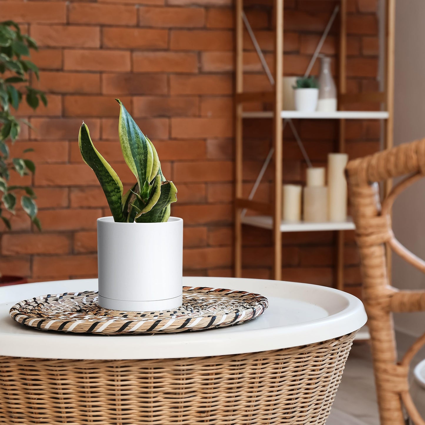 D'vine Dev 4 Pack 6 Inch Modern Plastic Plant Pots, Small Garden Planters for Plant with Drainage Holes and Saucers, White Color, 74-Z-J-2