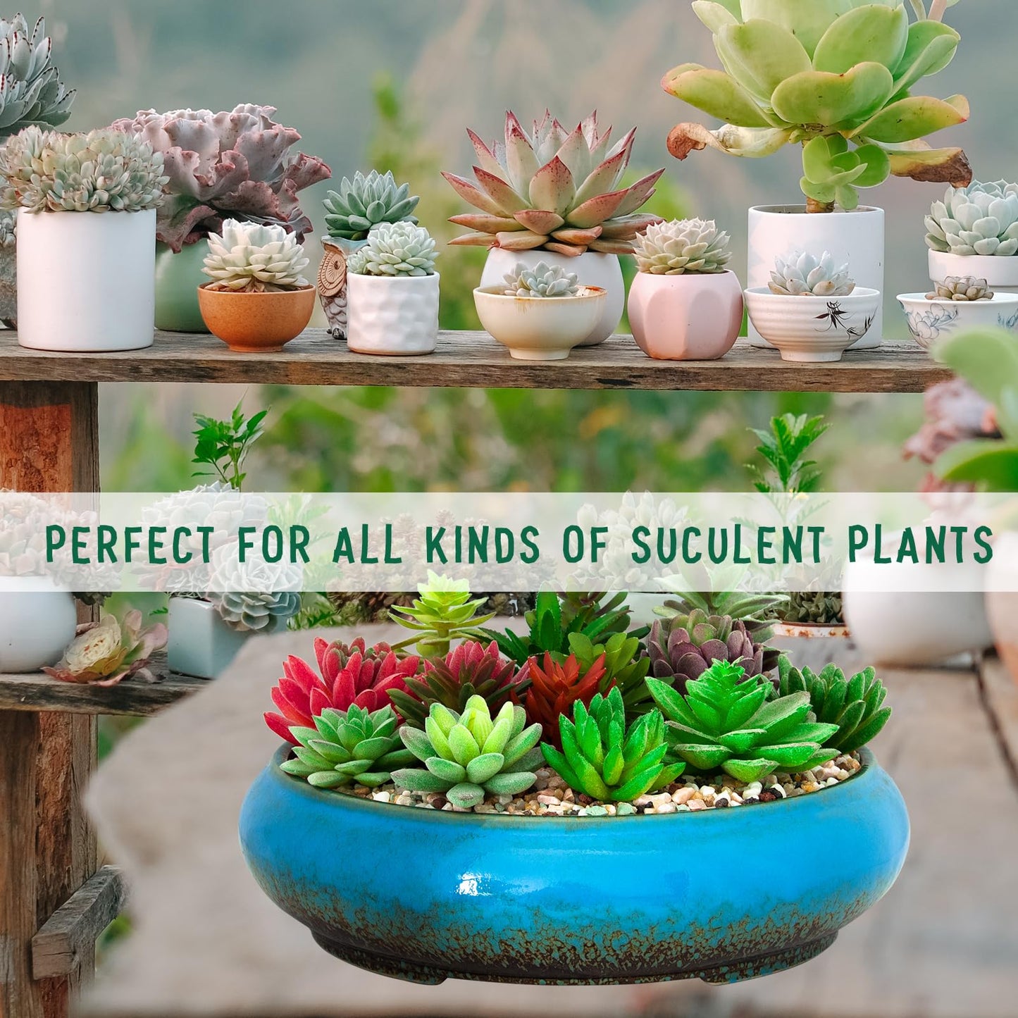 ARTKETTY Succulent Pots - 4 Pack Small Plant Pots with Drainage Tray, Large Ceramic Bonsai Pots Shallow Planters for Indoor Plants Colorful Cactus Flower Planter, Gifts for Women