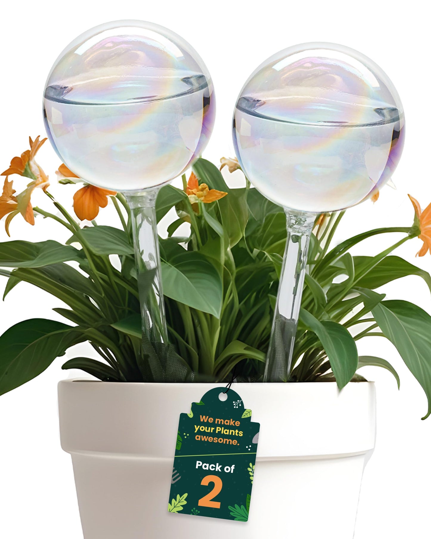 Iridescent Self Watering Globes, Glass Rainbow Plant Watering Globes, Self Watering Planter Insert, Automatic Plant Waterer Indoor (Large-2 Pcs Iridescent, Large)
