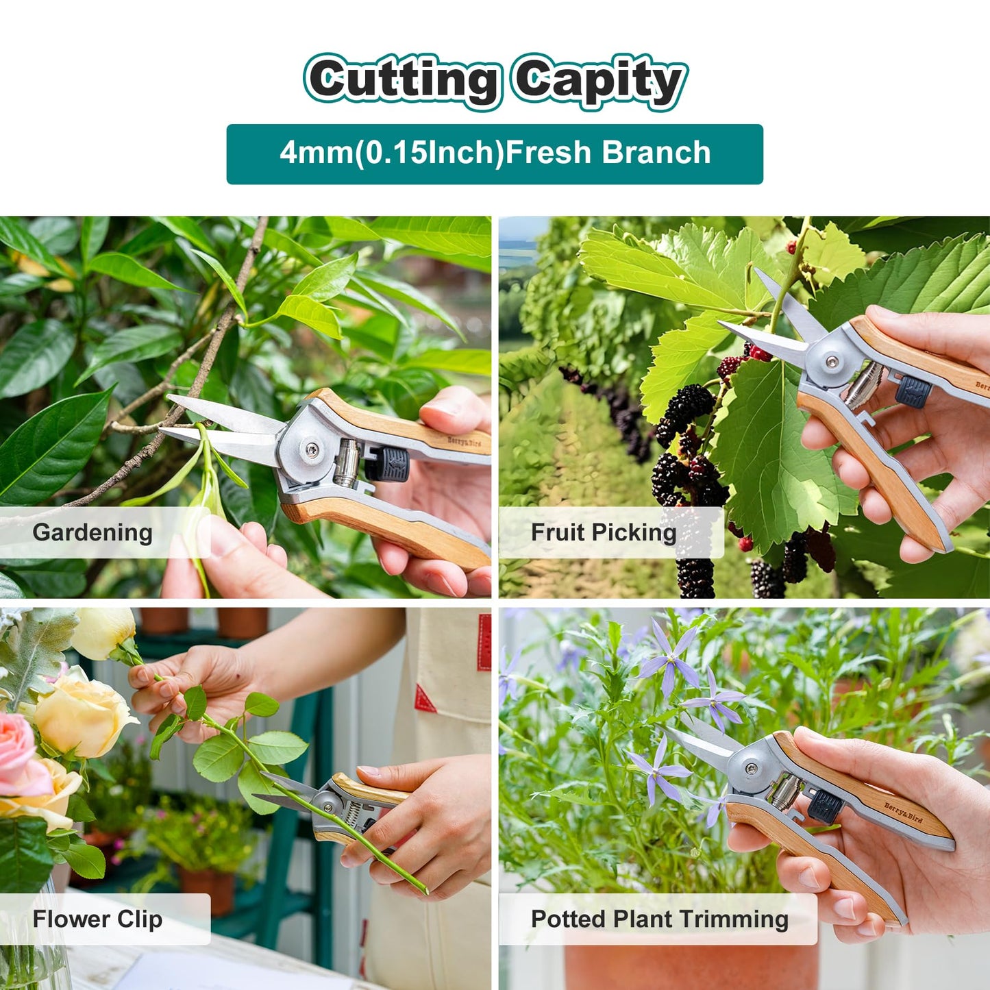 Berry&Bird Mini Pruning Shears for Gardening Straight Blades Hand Pruners with Wooden Handle Garden Scissors Snips Stainless Steel Trimming Small Clippers Bonsai Compact Size Shearing Tool