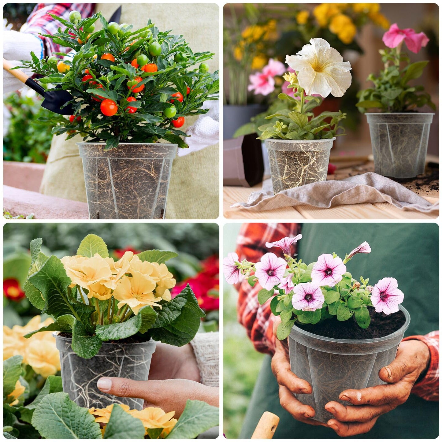 VIOBEPASS 10.6 Inch Large Clear Nursery Pots with Drainage Holes, 2.7 Gal 10 Pack Transparent Plastic Plant Pots, Ideal for Orchids, Seedlings, Repotting & Observing Root Growth & Soil Moisture