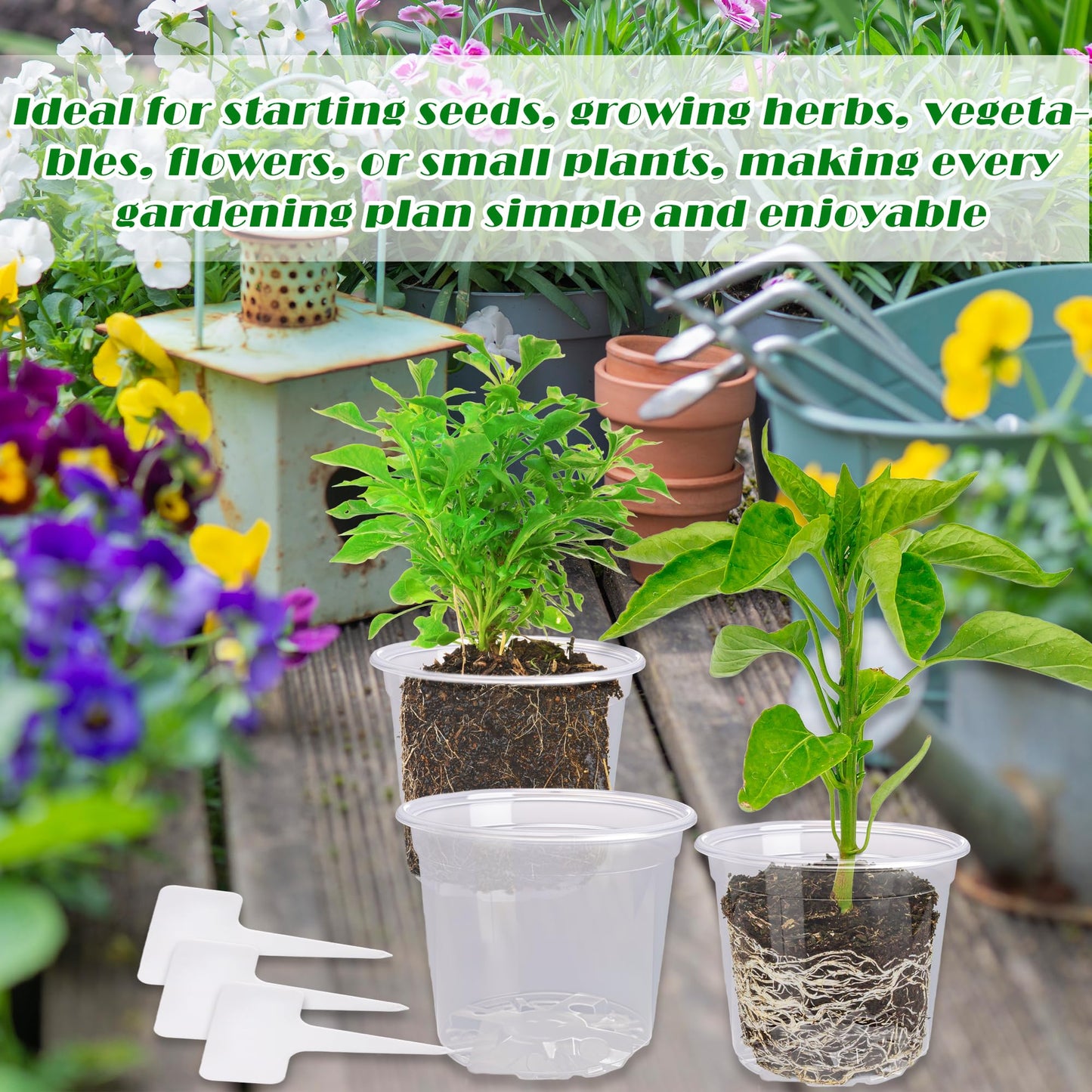 300 Pcs 4 Inch Clear Plant pots with Drainage Holes 150 Transparent Plastic Nursery 150 White Labels High Transparency Excellent Hardness for Seeding Cultivation Raising Flower Gardening Activities
